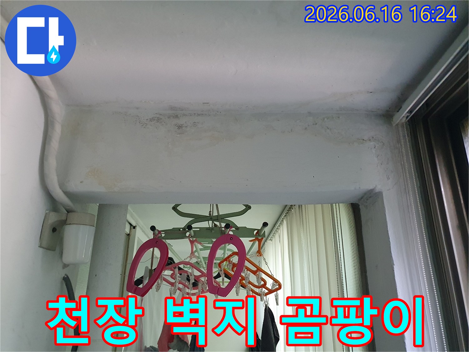 구리-쌍용아파트-천장-벽지가-젖고-곰팡이가-핀-심각한-누수-현장