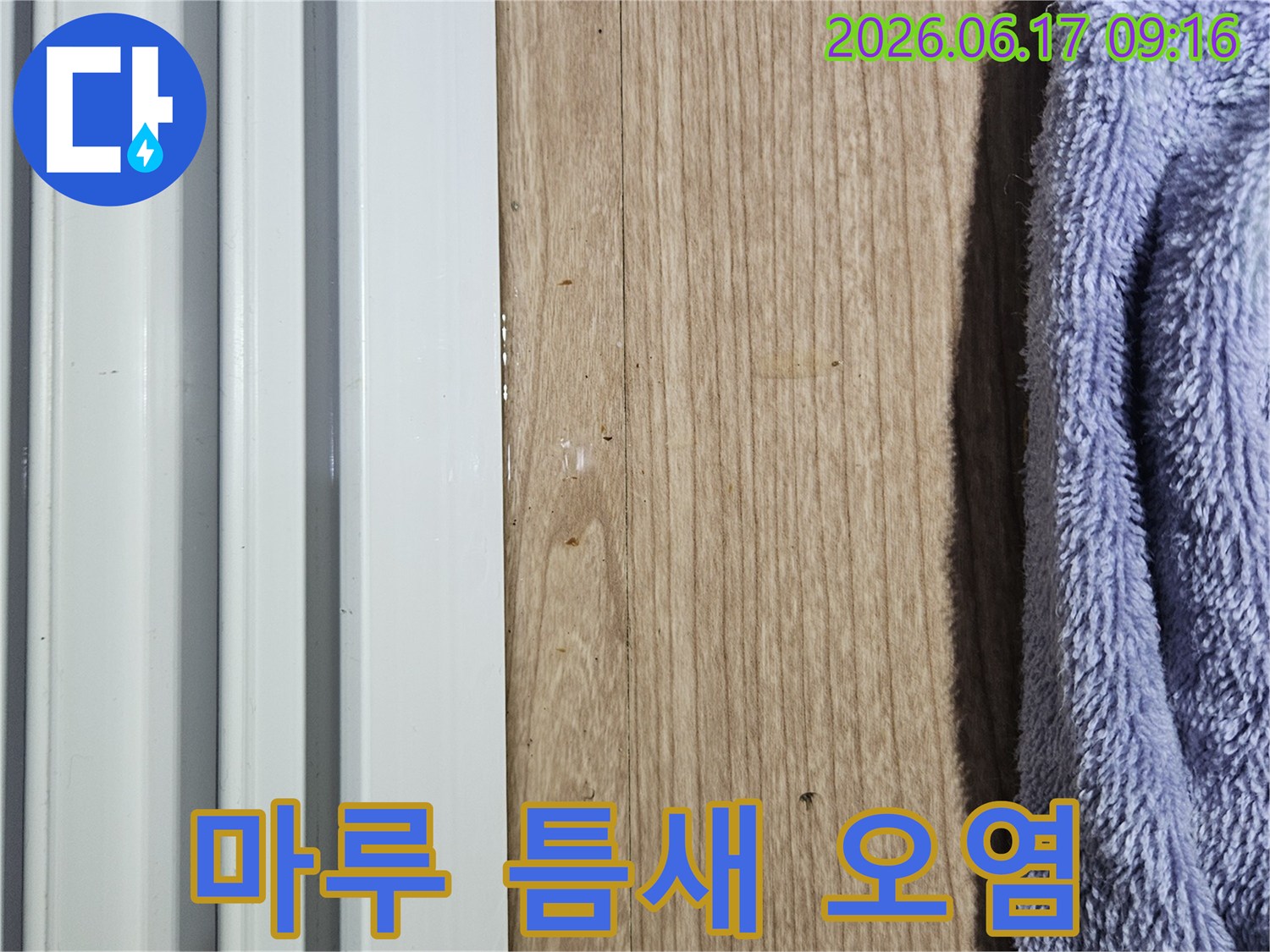 마루 틈새에 나타난 오염과 습기 흔적으로 누수 징후를 보여주는 현장 사진