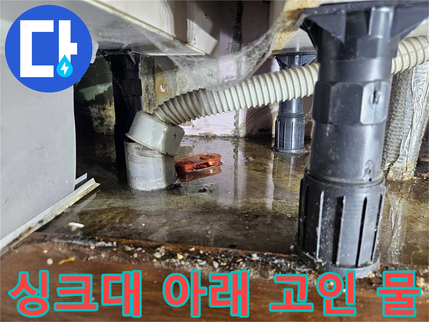 싱크대-배수구-주변에-고여있는-물과-습기