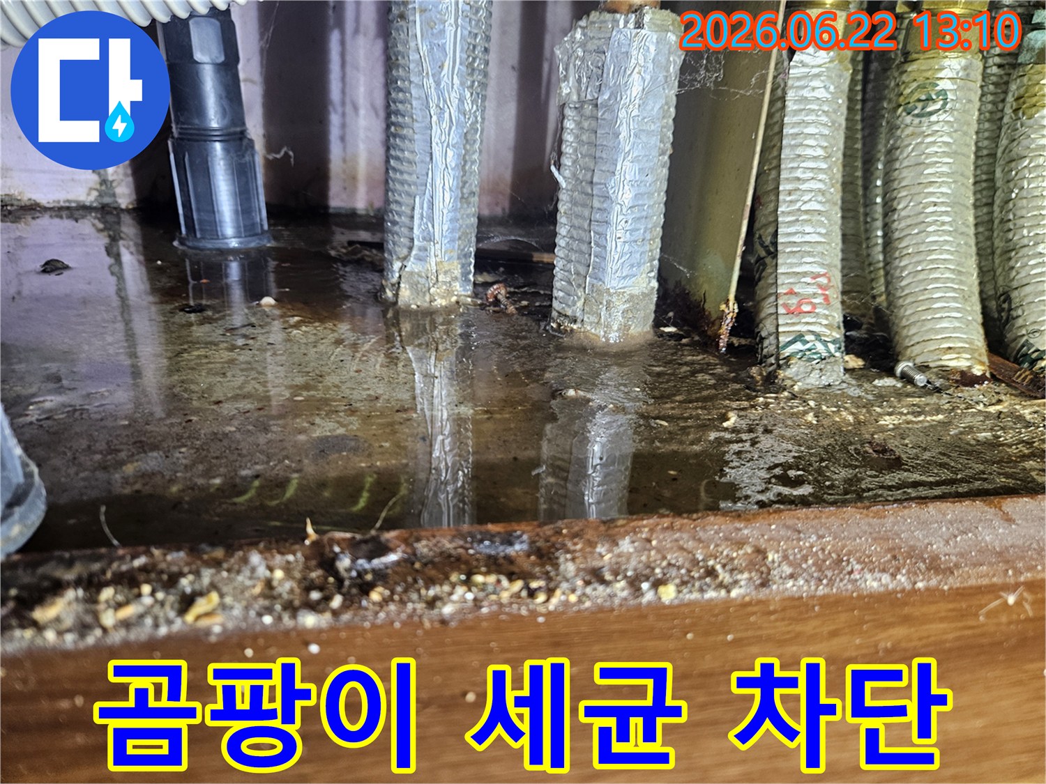 싱크대 하부에 고인 물은-곰팡이와 세균 번식의 온상이 되어-위생 문제를 유발합니다.