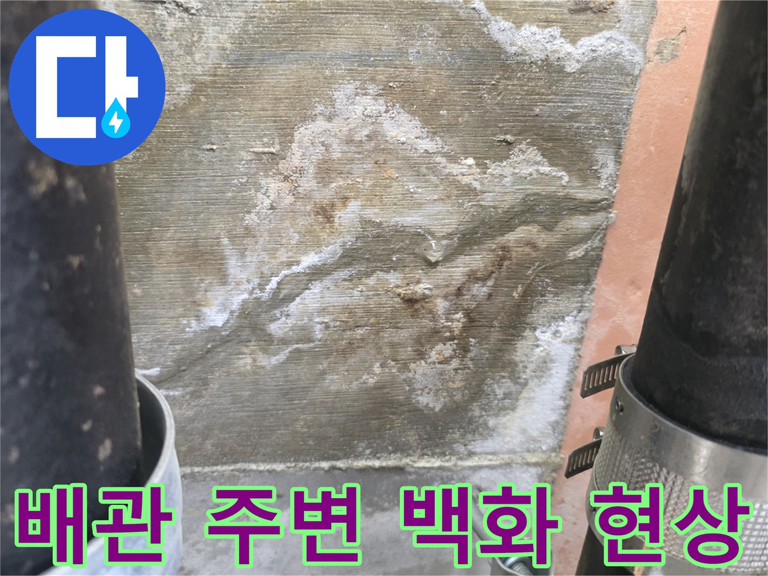 화장실 천장 배관 주변에 하얀색으로 나타난 백화 현상 이미지