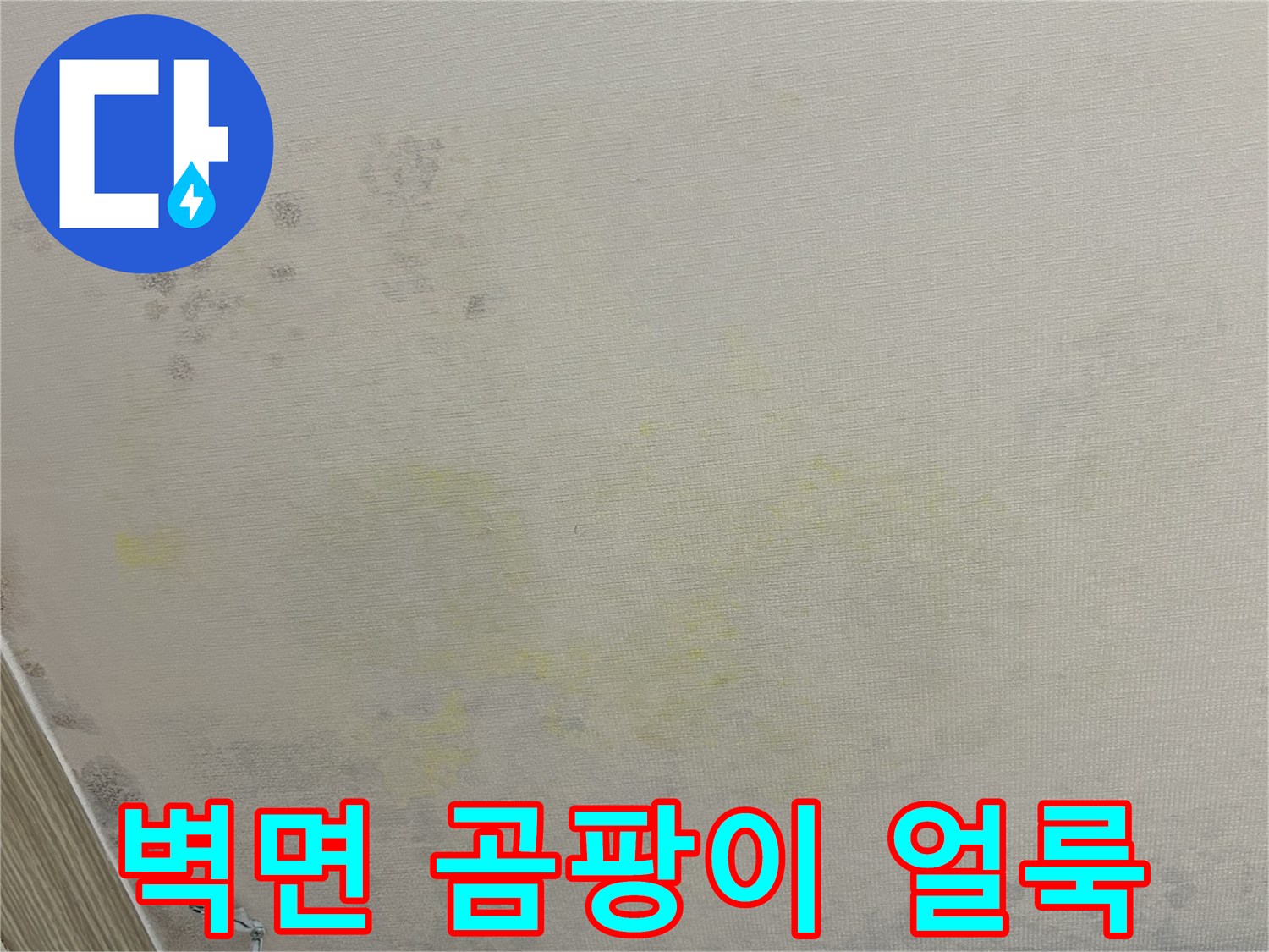 누수로 인해 노랗게 변색되고 곰팡이가 생긴 벽면의 모습입니다.