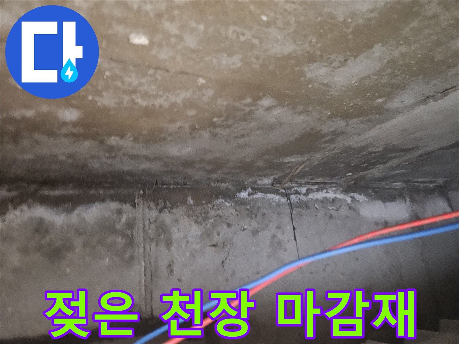 물기에 젖어 어둡게 변한 천장 표면 사진