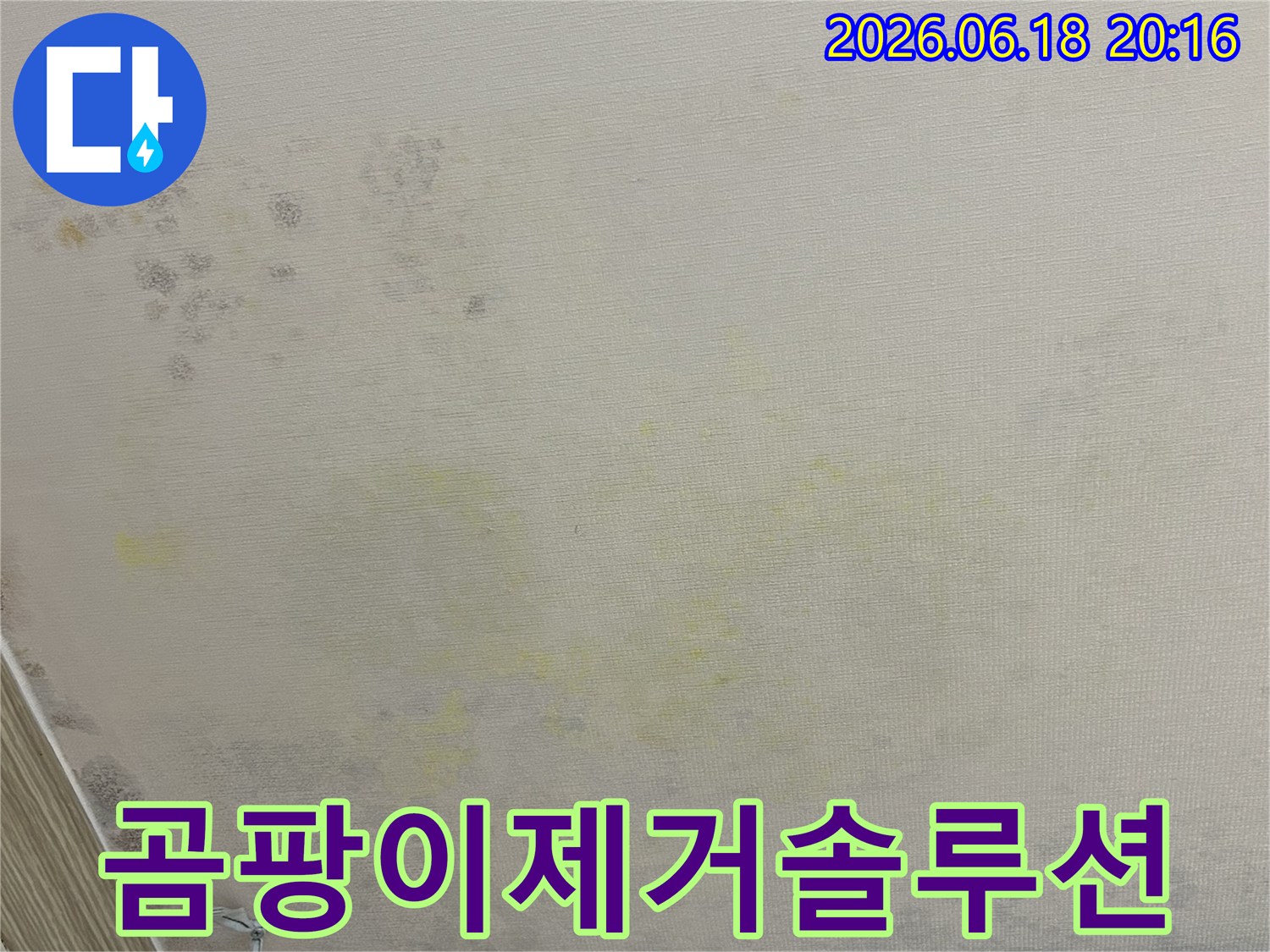 벽면에-생긴-습기와-곰팡이-오염-상태를-보여주는-누수-현장-사진
