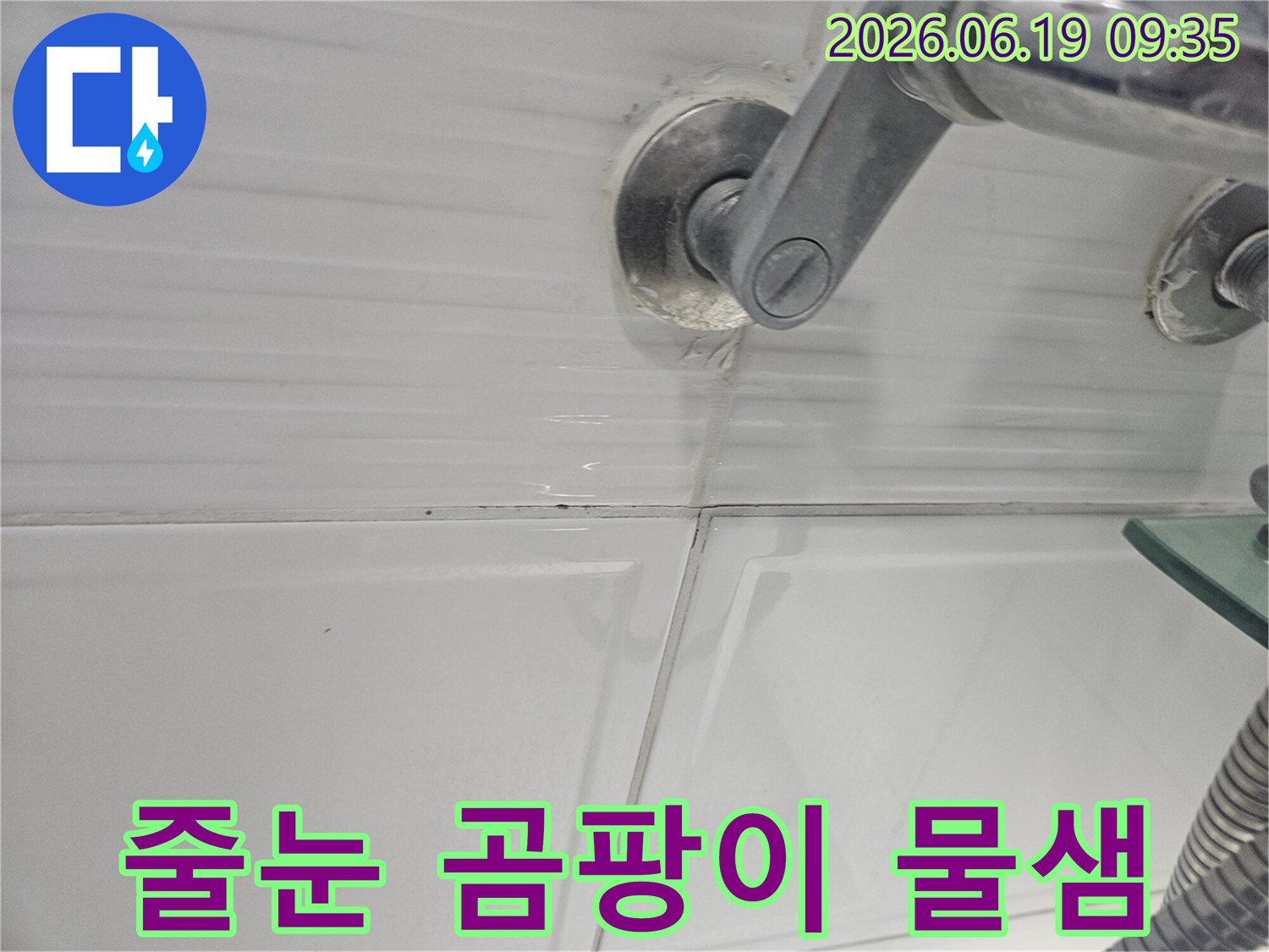 욕실 샤워기 주변의-타일 줄눈에 발생한-곰팡이와 물 스밈 현상을-확대하여 보여주는-누수 진단 사진입니다