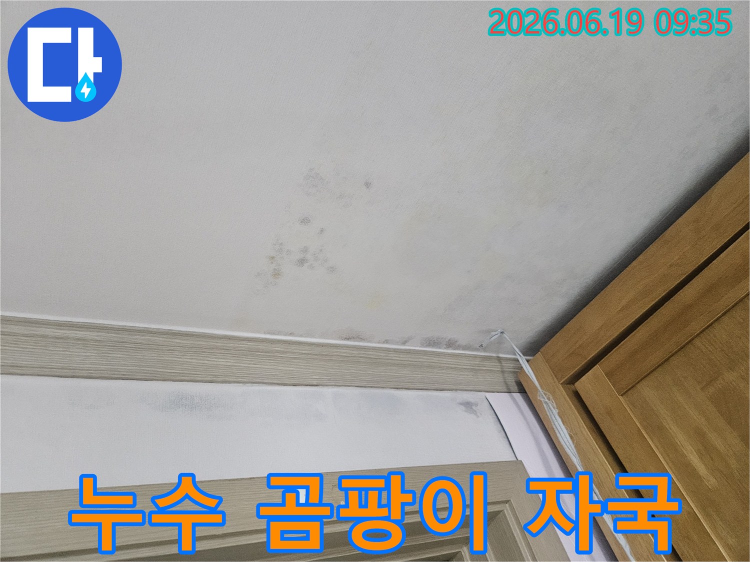 주거-공간-천장-코너에-발견된-물-얼룩과-그로-인한-곰팡이-번식-상태