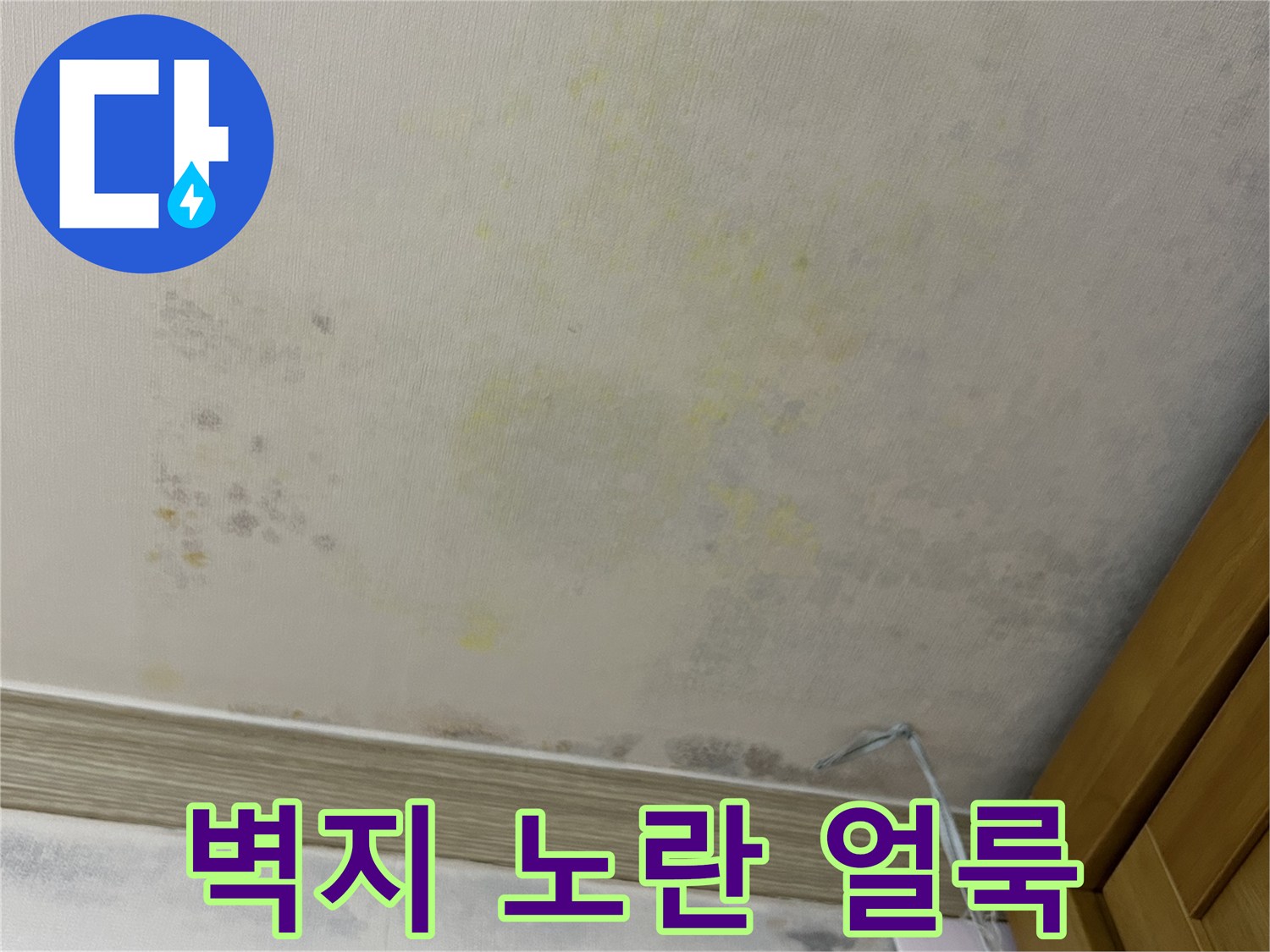 천장 벽지의 심한 변색과 습기 침투 흔적을 근접 촬영