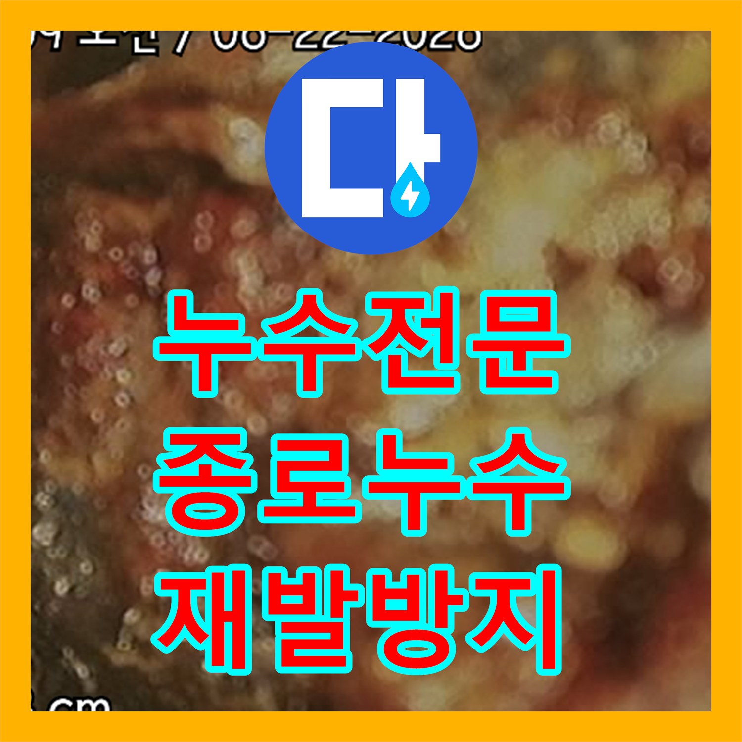 누수탐지전문가가 오래된 배관 파손을 첨단 장비로 해결한 이야기, 서울 종로구에서