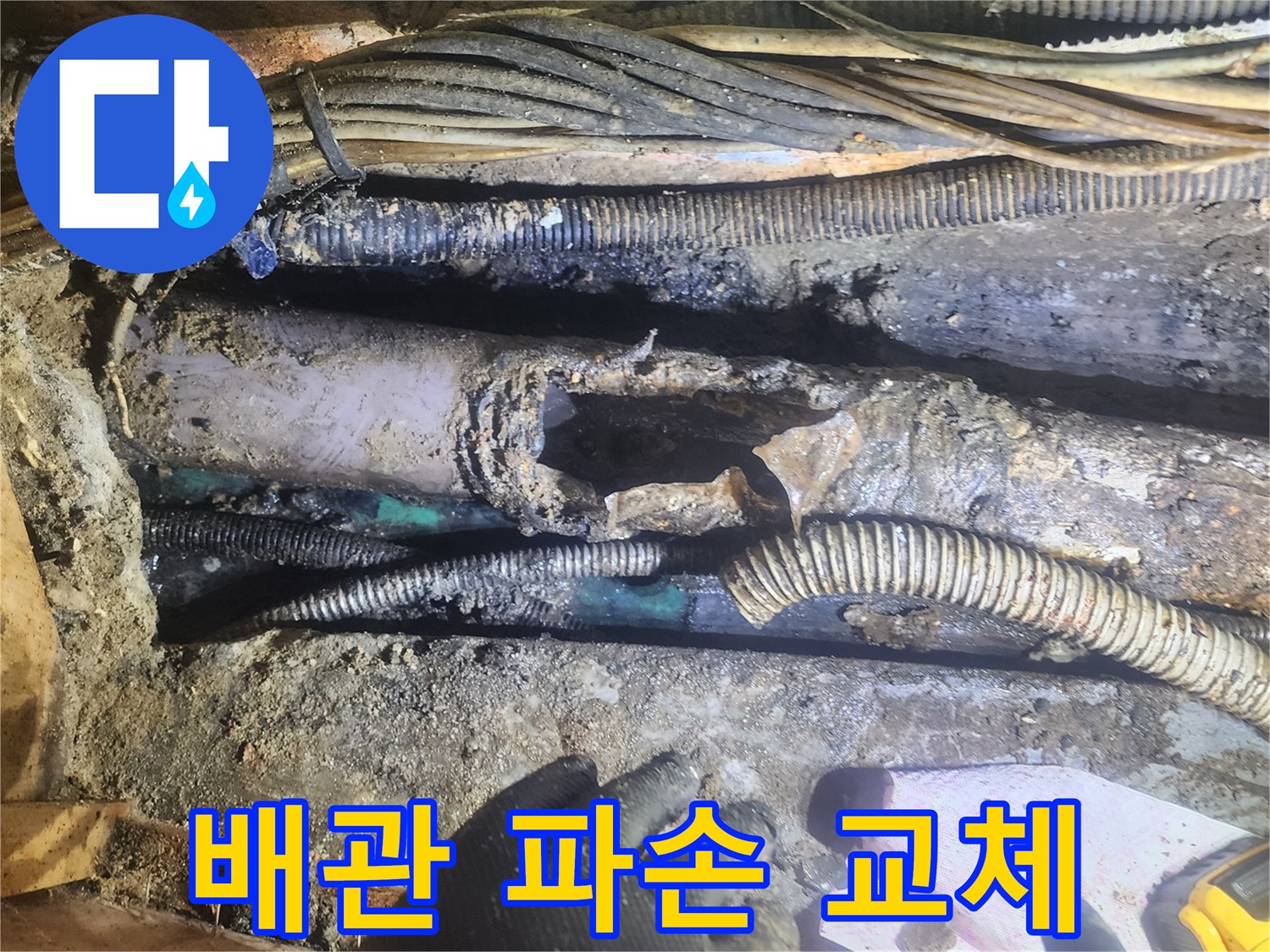 배관이-파손되어-누수가-발생한-현장을-전문가가-정밀하게-진단하고-교체하는-모습