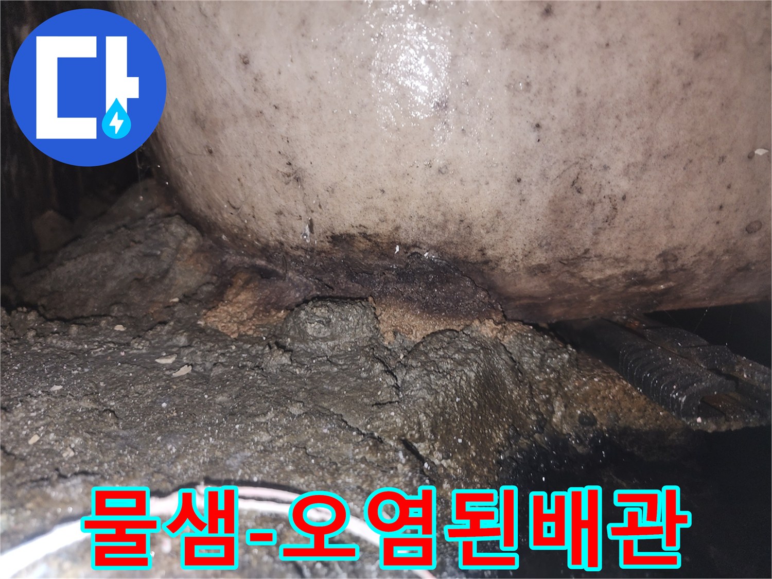 누수로 인해 배관 하부의 시멘트가 부식되고 곰팡이가 번식한 모습