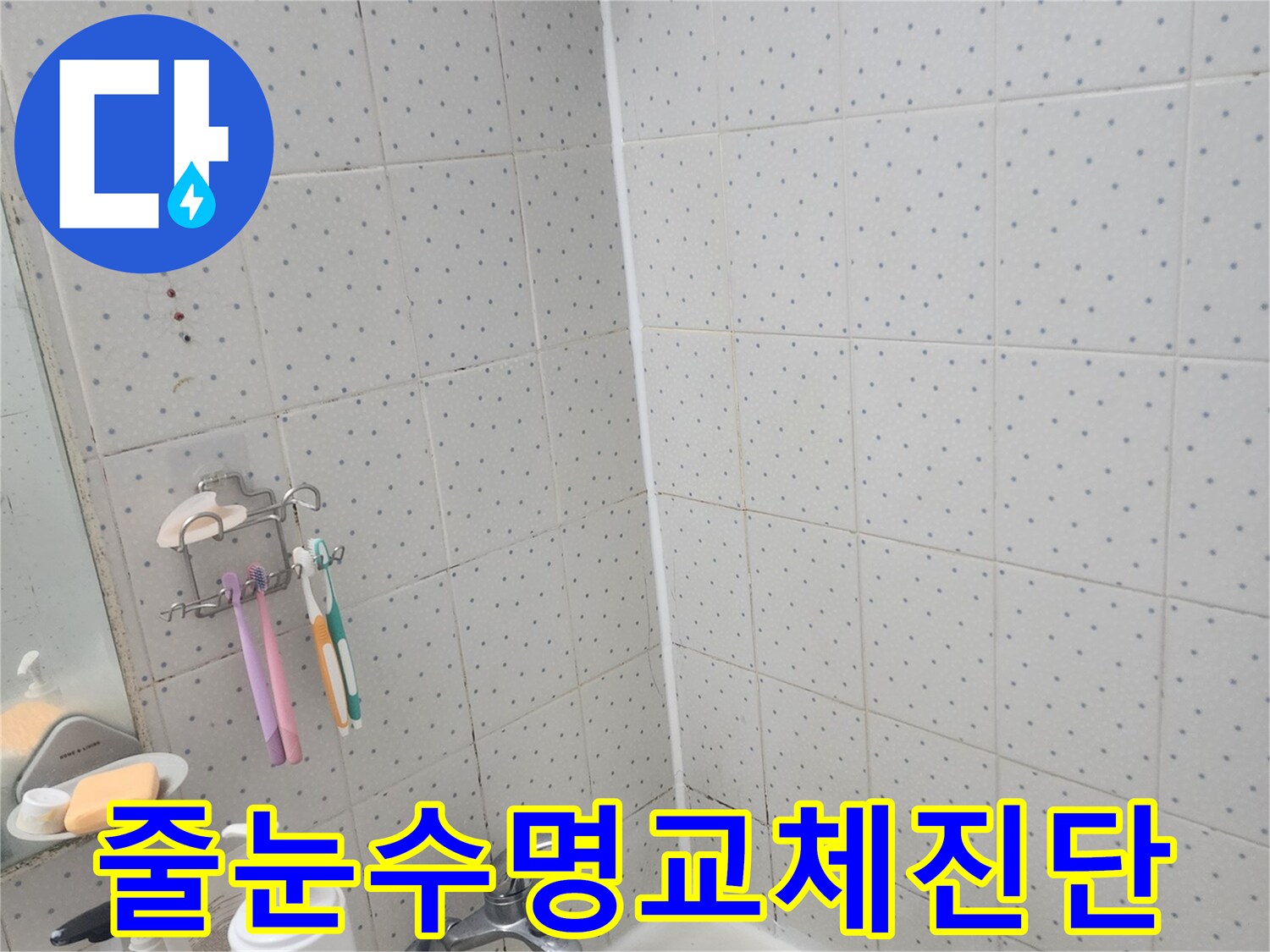 동대문구-사가정로-욕실-누수-타일-줄눈-수명-교체-필요성-진단-모습