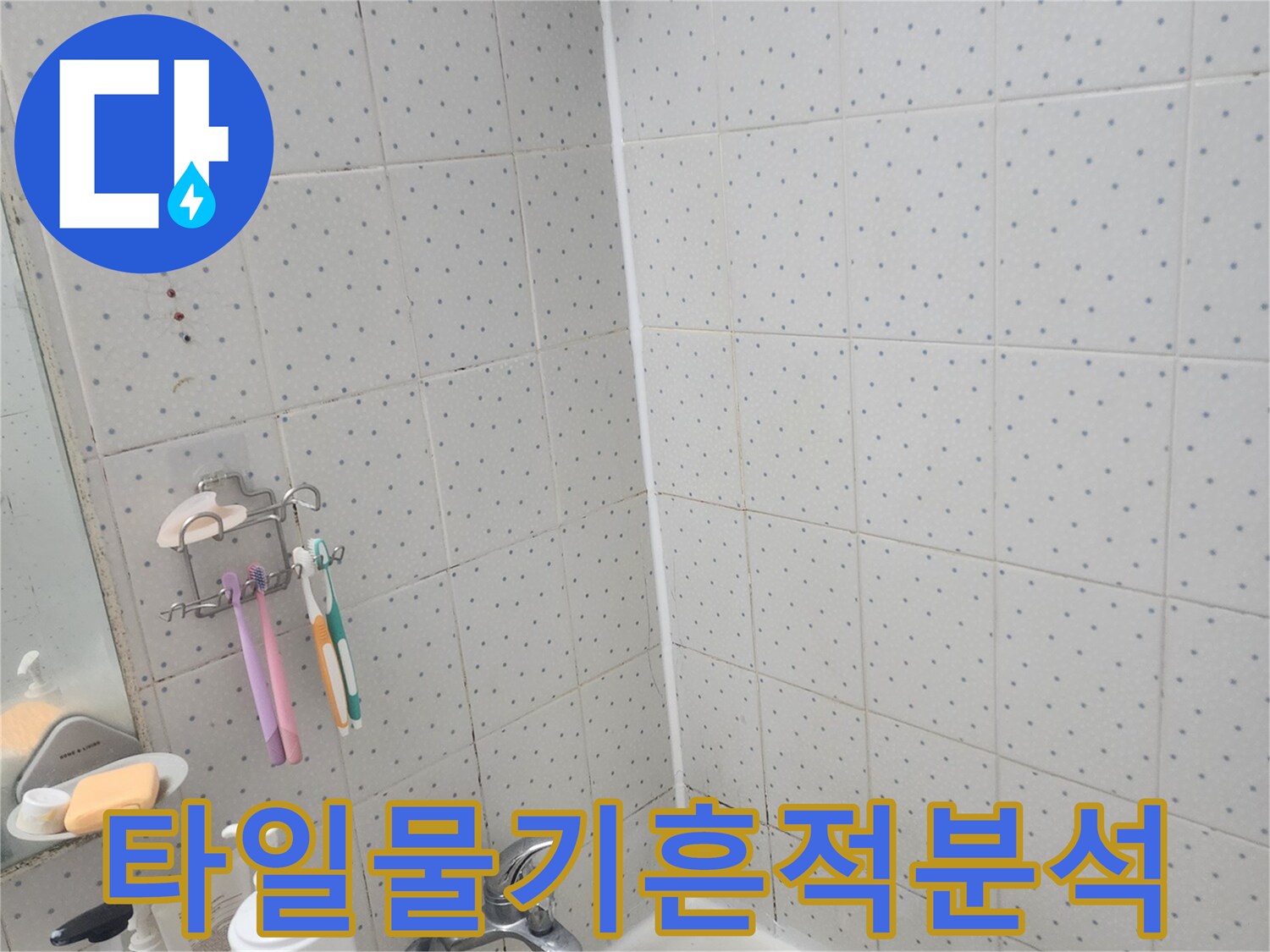 동대문구-사가정로-욕실-누수-타일-표면-물기-흔적-분석-현장-모습
