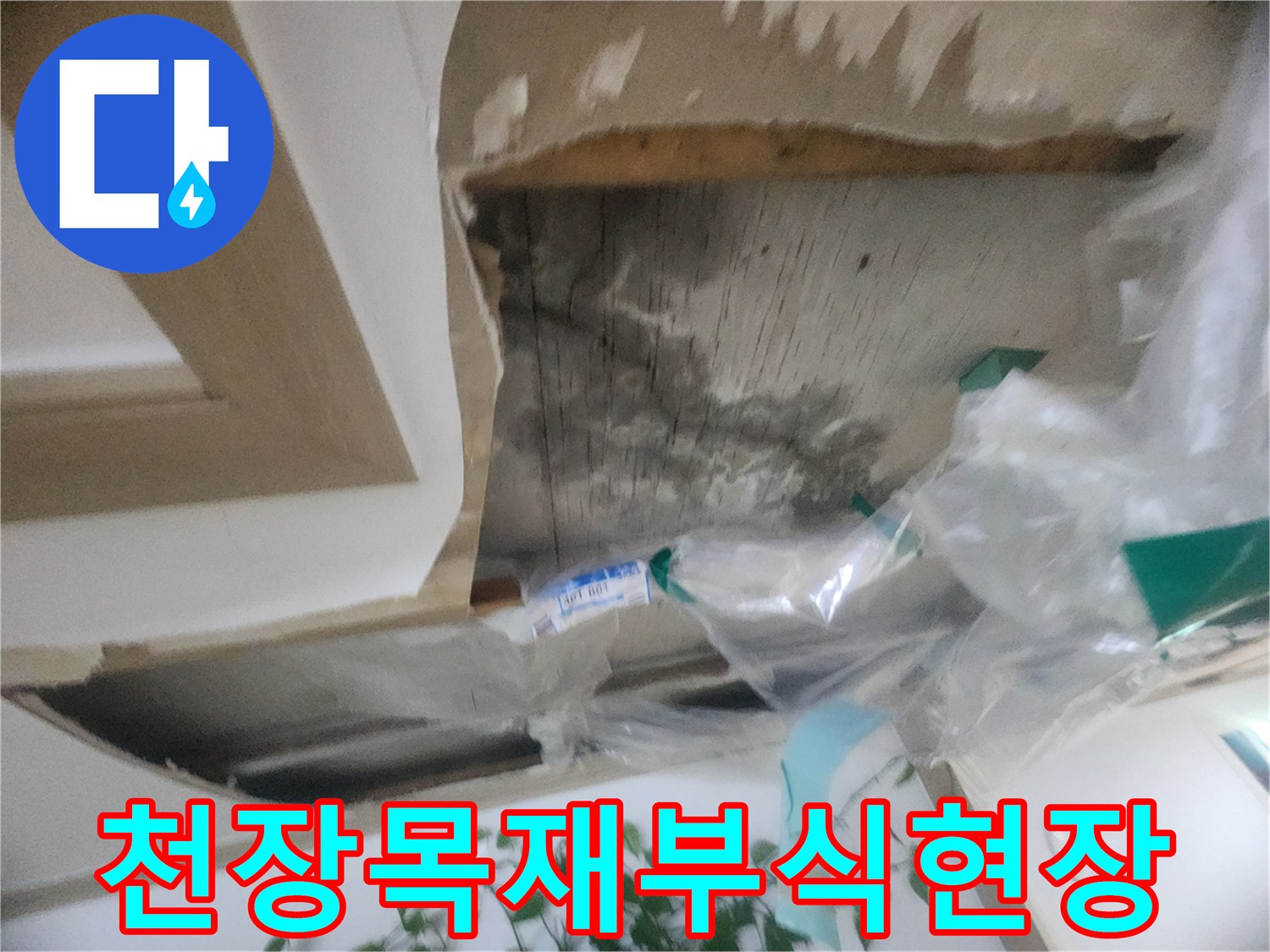 천장 내부의 목재 구조물이-물에 젖어 변색되고-손상된 상태를 보여주는-누수 현장 사진입니다