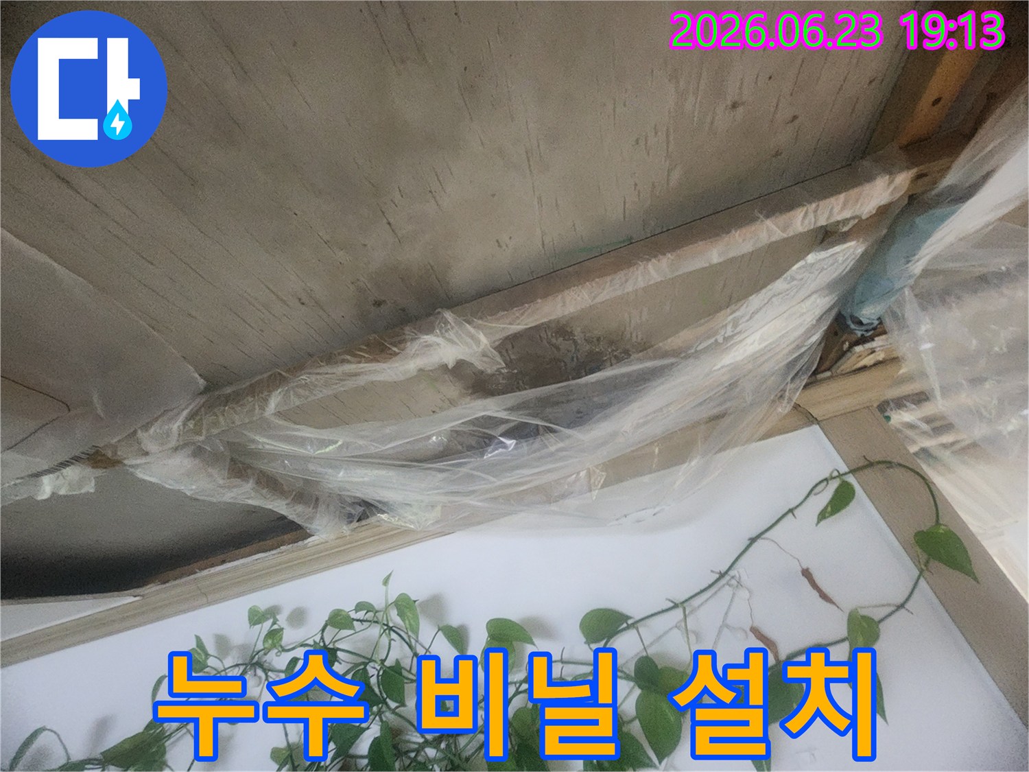 천장 누수로 인한 추가적인 물 떨어짐을 막기 위해-비닐로 임시 방수 조치를 한 모습