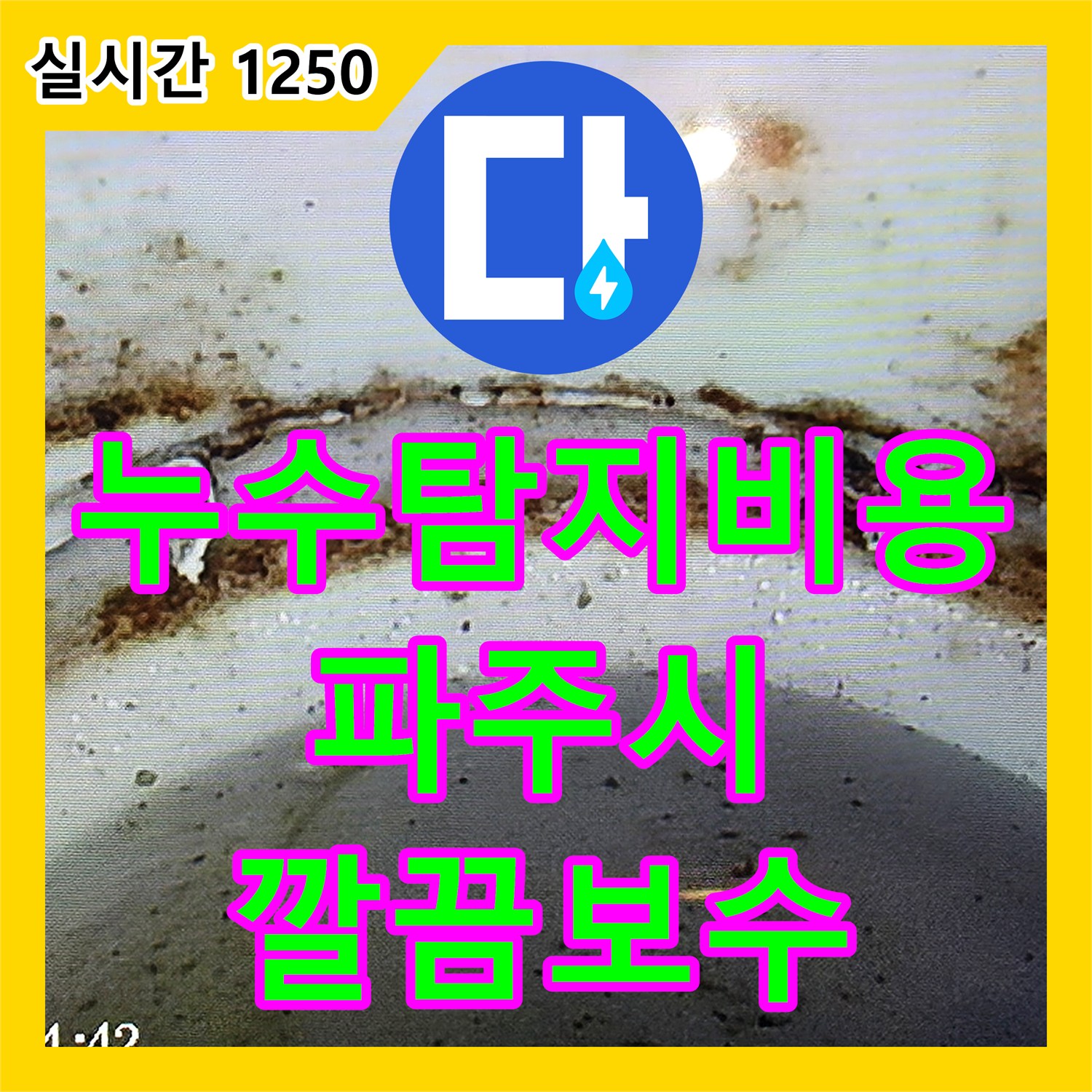 누수탐지전문업체 발생한 누수 문제, 어떻게 원인을 찾아내는지, 경기 파주시