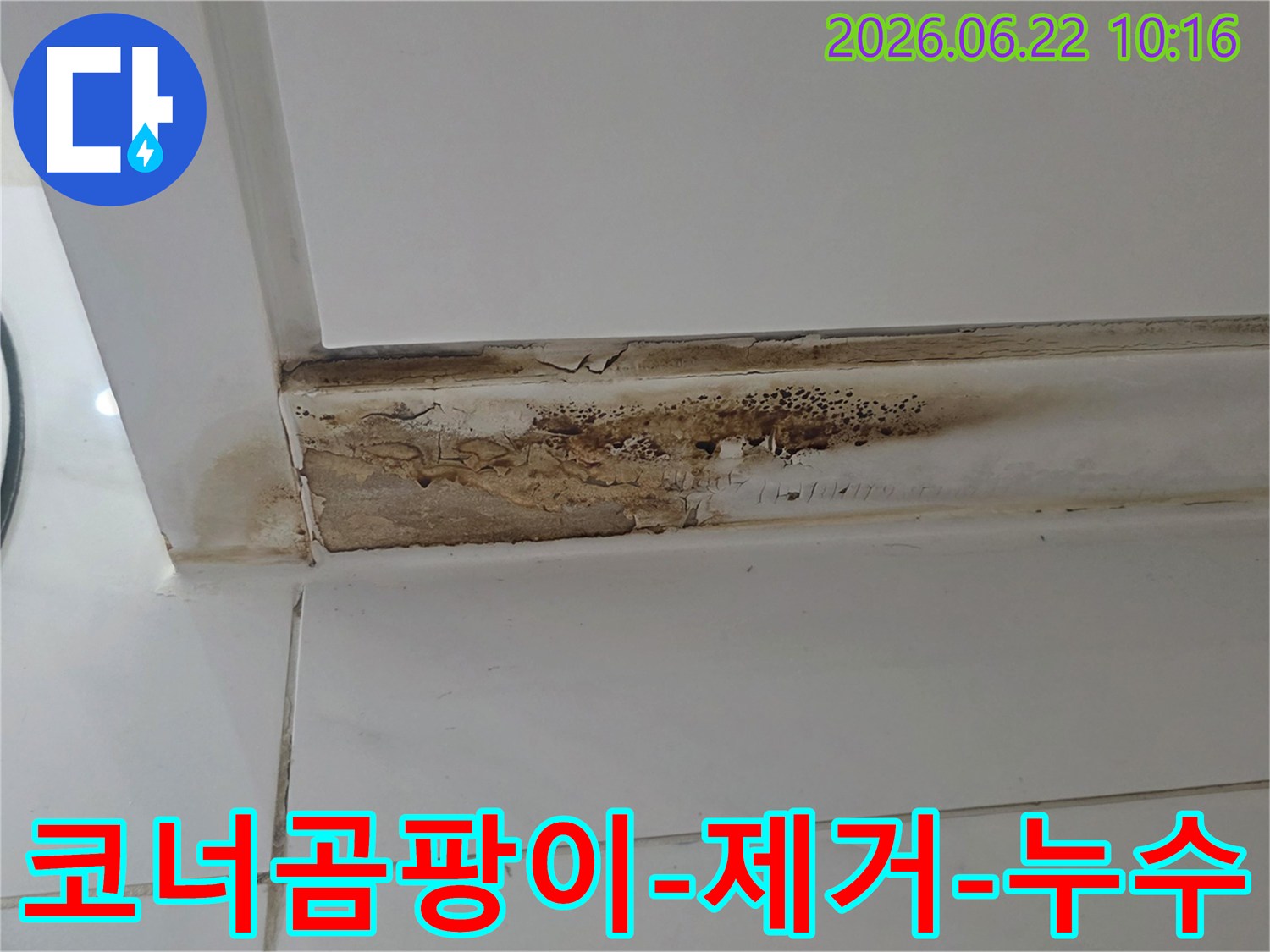 천장과-벽면-코너에-발생한-심각한-곰팡이와-누수로-인한-벽면-손상-모습