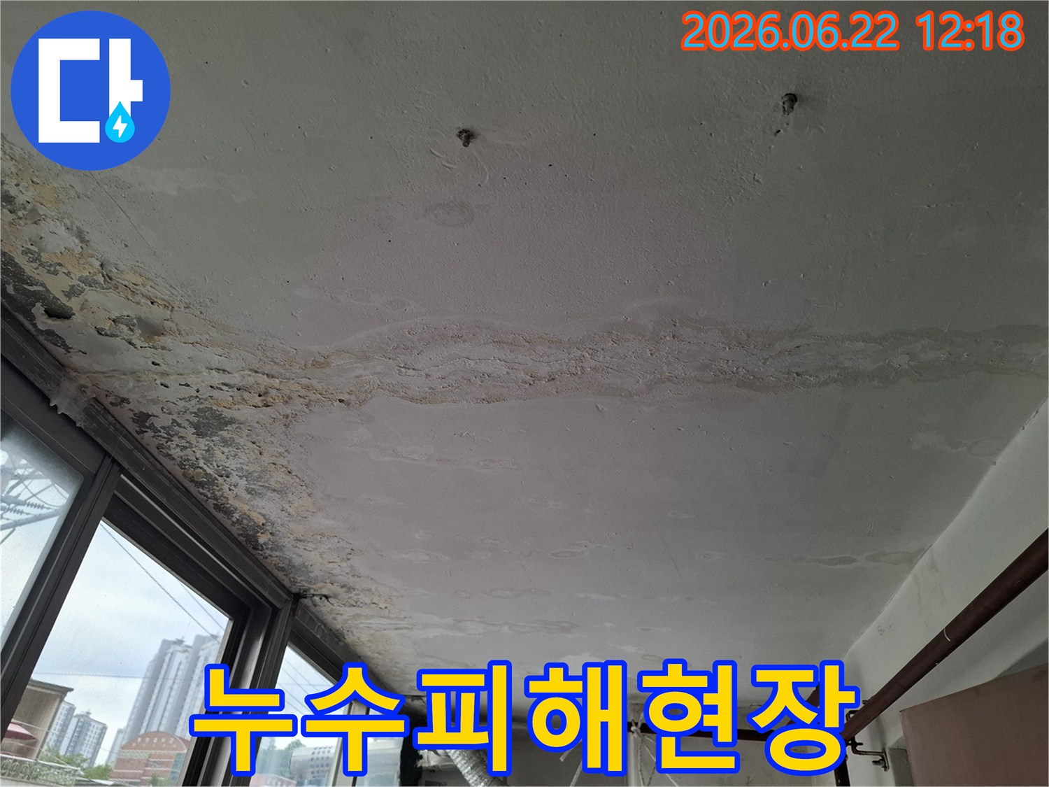 물에 젖어-변색된 천장과-곰팡이가-번식한-누수 현장입니다