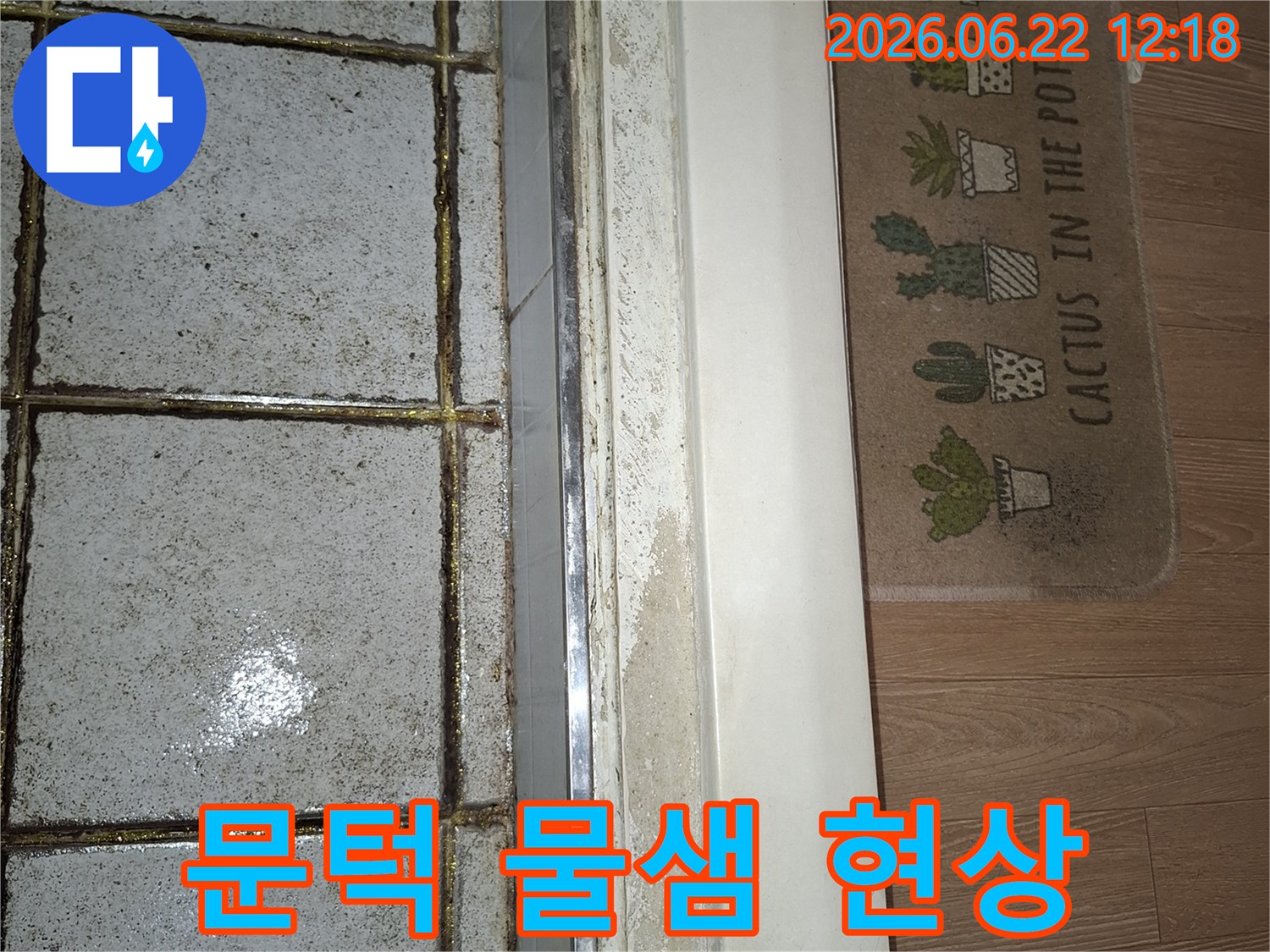 욕실 문턱 하단에 물기가 스며들어 마루와 경계면이 젖어 있는 현장 사진-누수 발생 가능성을 보여주는 중요한 단서입니다