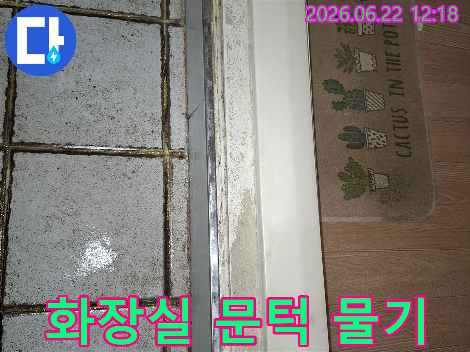 화장실 문턱 주변에 물기가 스며들어 마루가 젖은 모습을 담은 이미지-누수 원인 파악을 위한 현장 사진-전문가의 도움이 필요한 상황