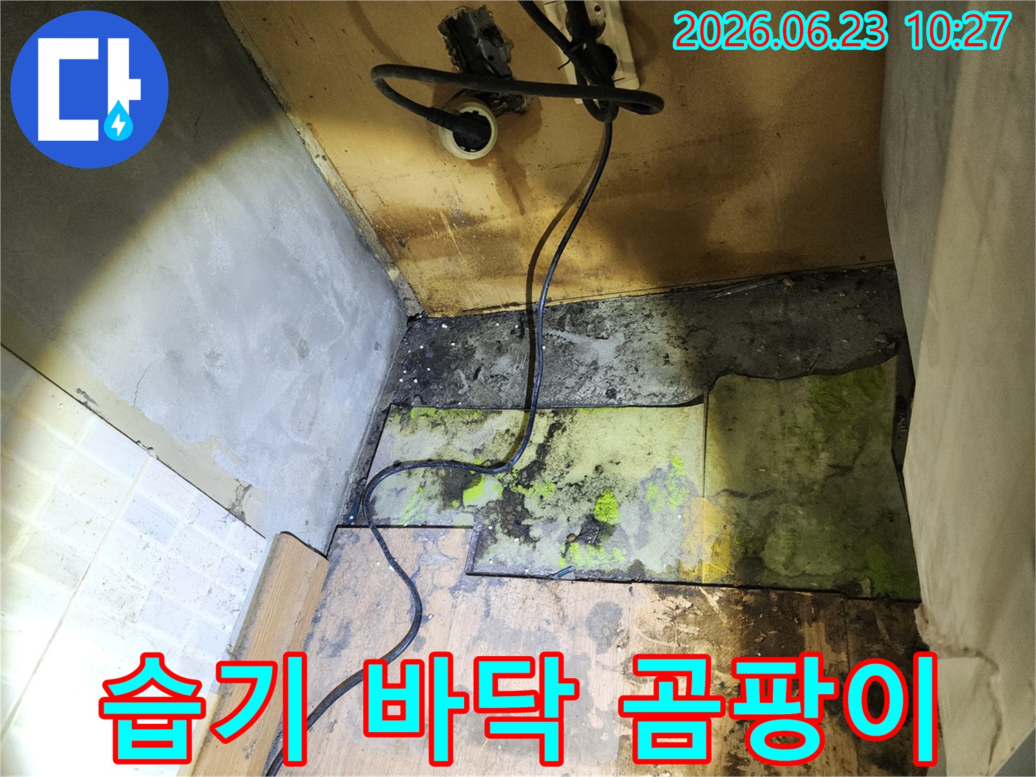 누수 발생으로-인해-바닥재를-제거한-후-드러난-습기와-곰팡이로-오염된-하부-구조의-모습을-촬영한-사진