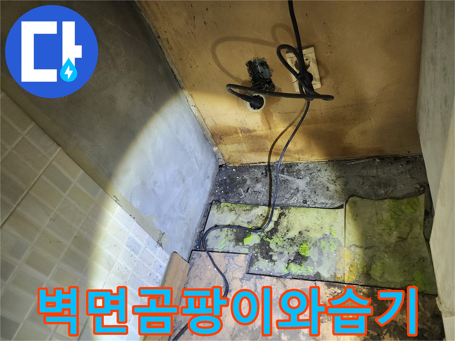 송파구 현장-벽면 곰팡이 및 콘크리트 오염 상태