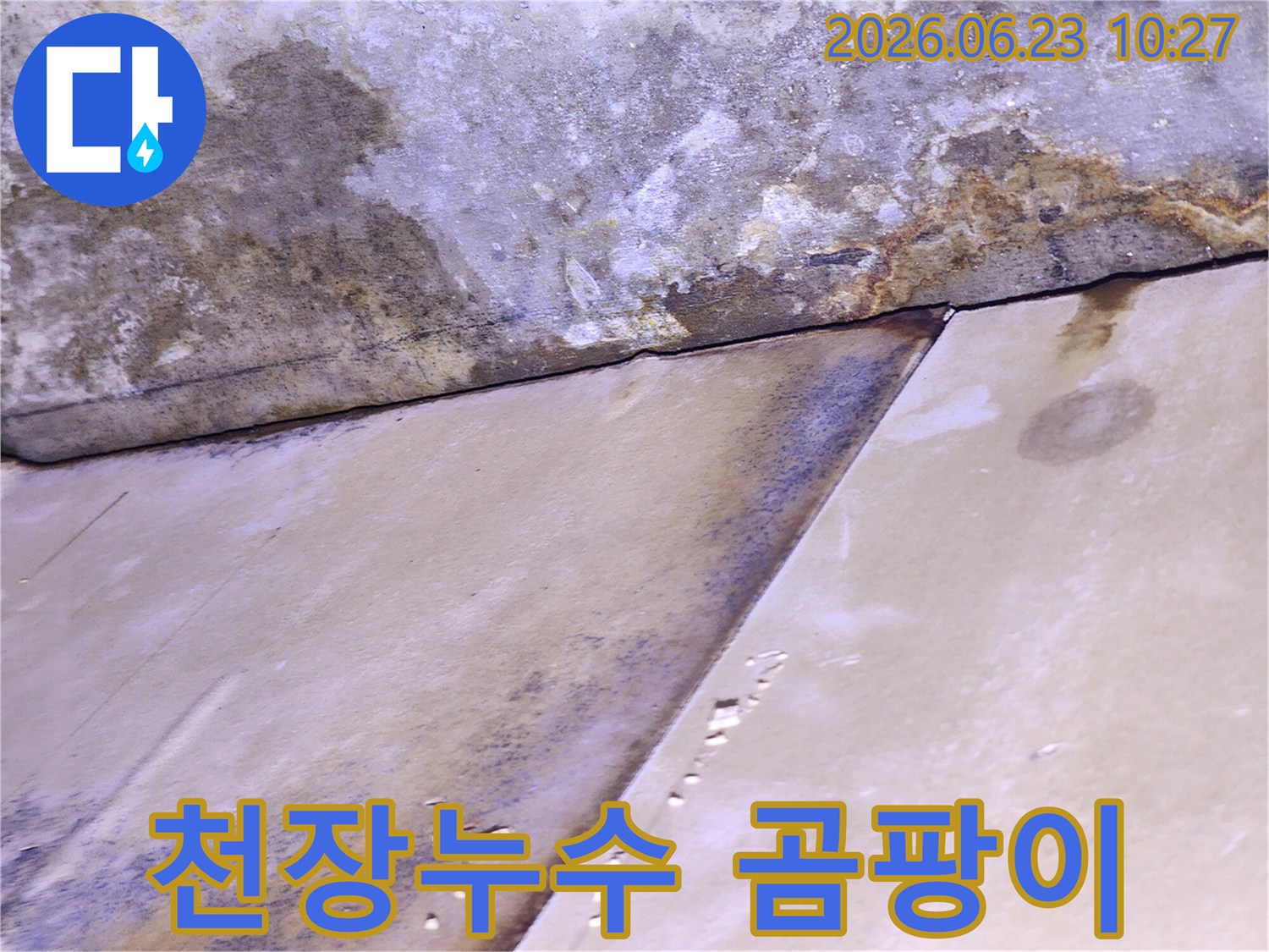 천장에서 물이 새고 곰팡이가 피어 심각하게 손상된 모습을 보여주는-누수 현장 이미지