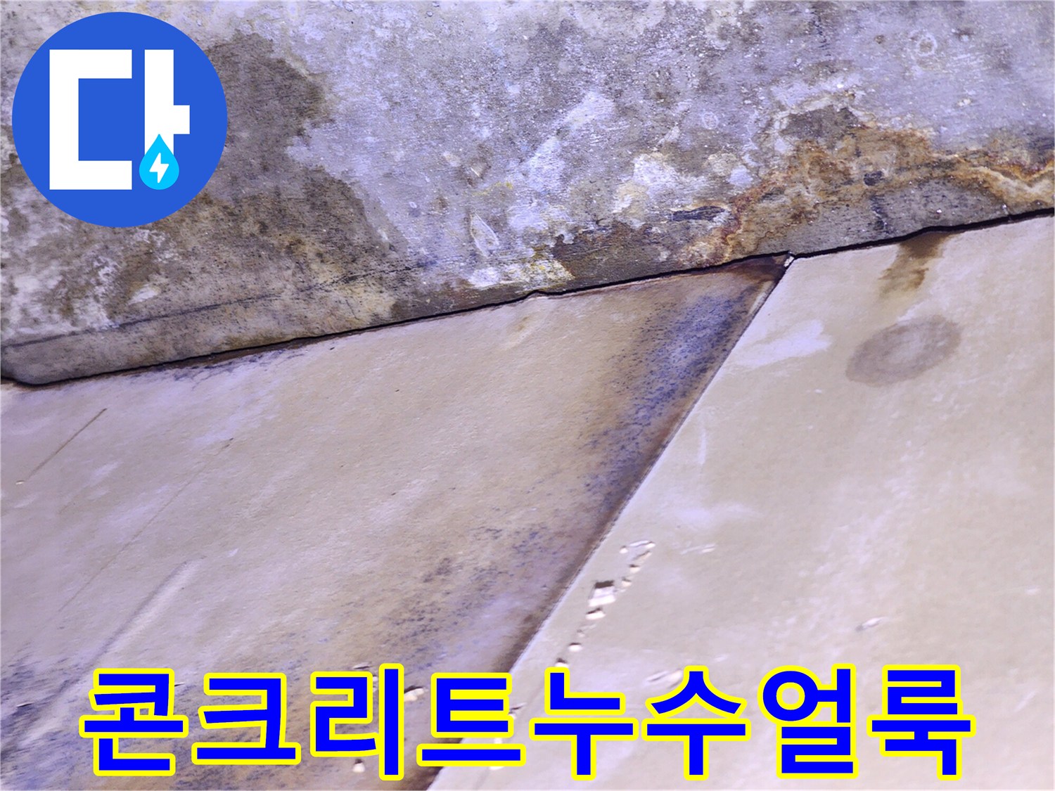 콘크리트-슬래브-경계면의-짙은-물배임-현상