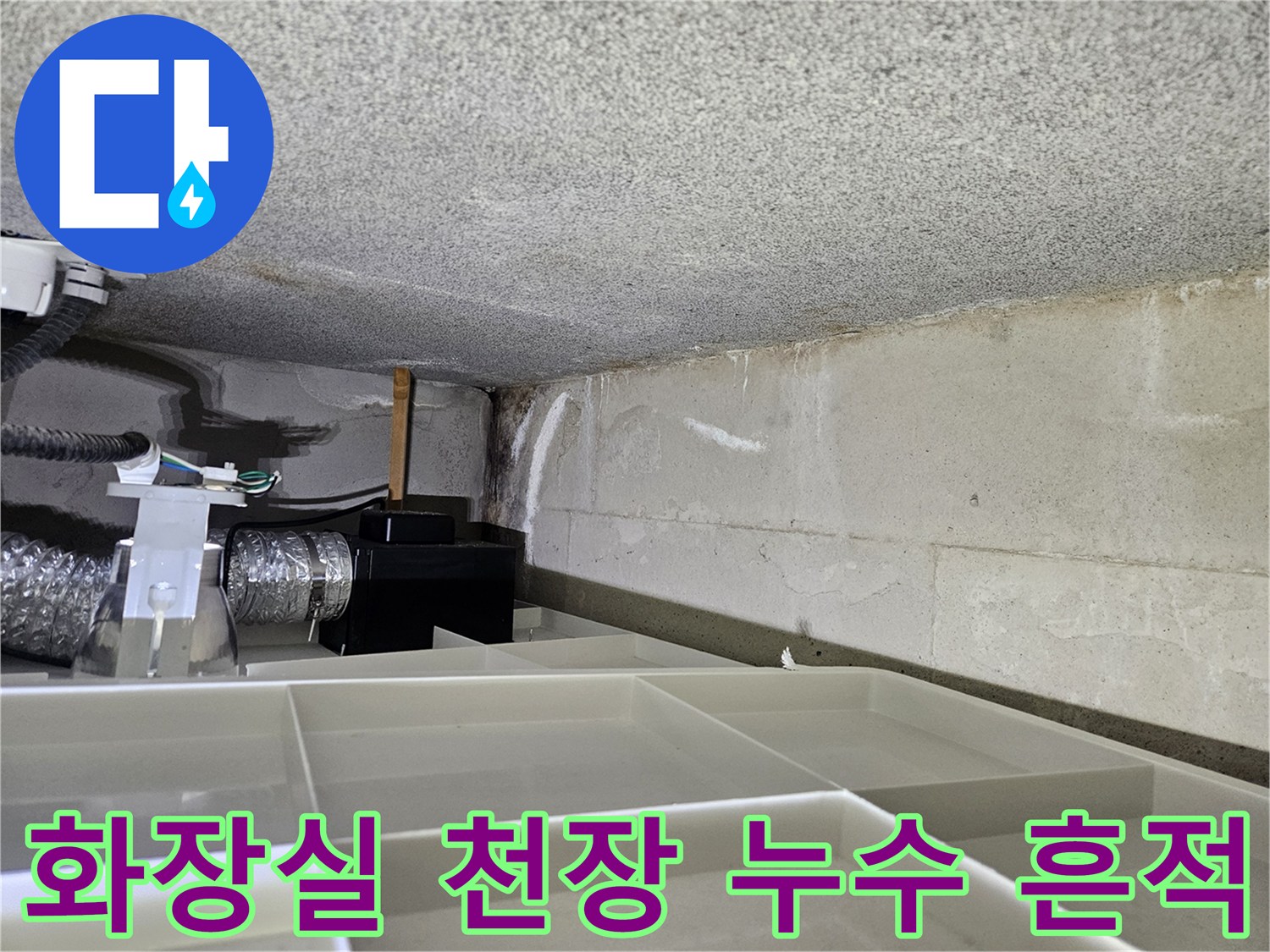 화장실-천장-콘크리트-부위의-습기-및-얼룩-상태