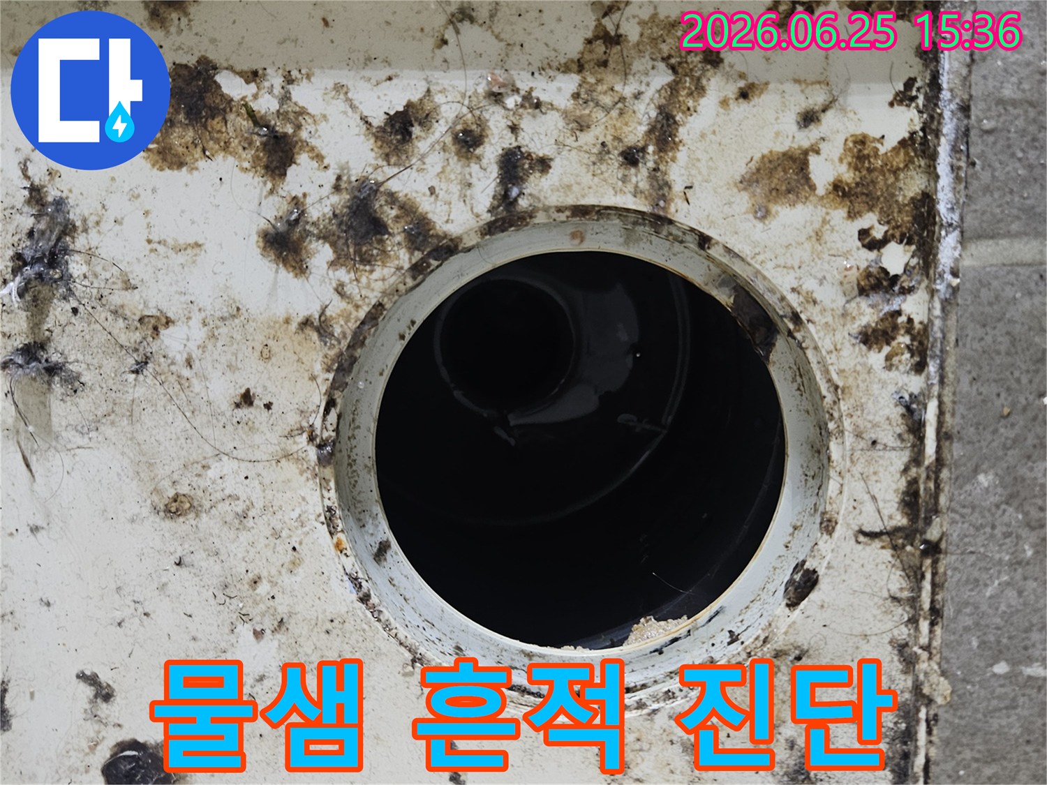 오염된 배수구 주변에 물때와 곰팡이가 심하게 낀 모습-지속적인 물샘의 명확한 흔적을 보여줍니다