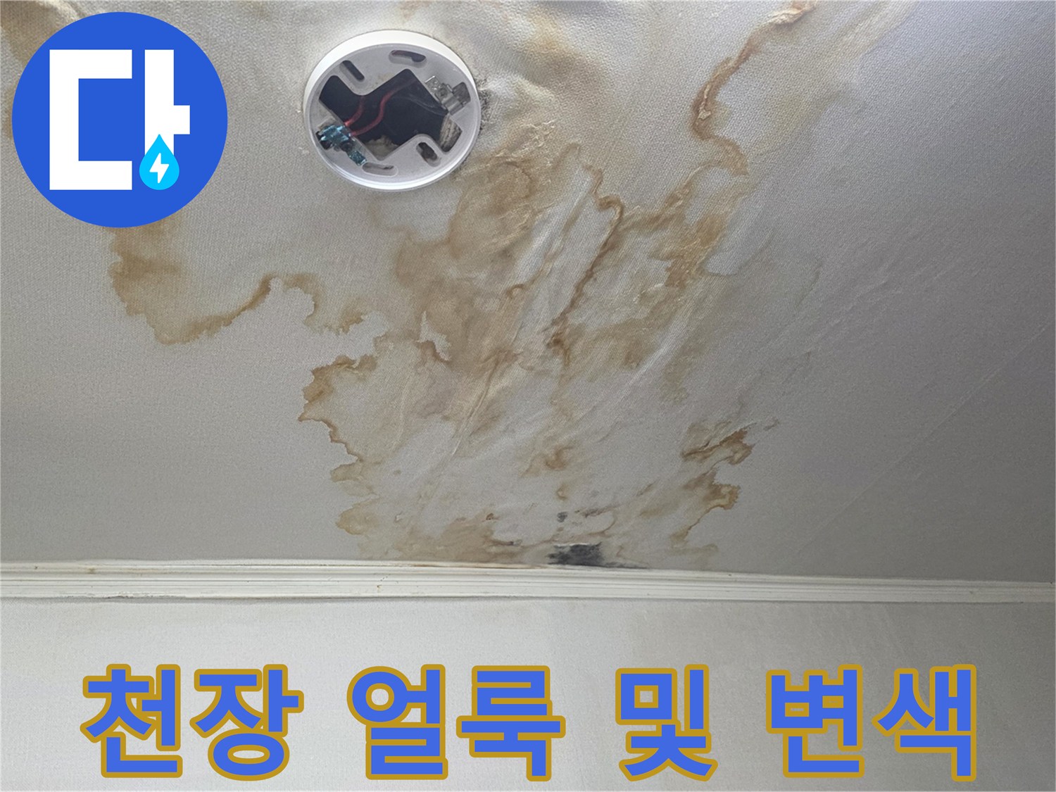 거실 천장의 갈색 누수 자국과 매립등 부근 오염