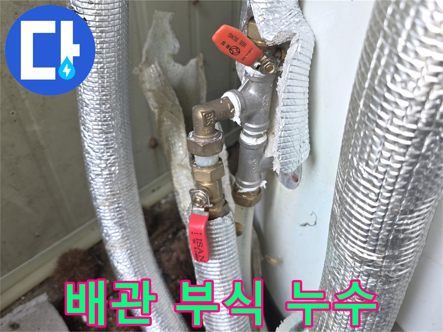 이천시-모가면-빌라의-배관-부식으로-인한-누수-현장에서-전문-엔지니어가-정확한-진단과-해결책을-제시하는-사진입니다.