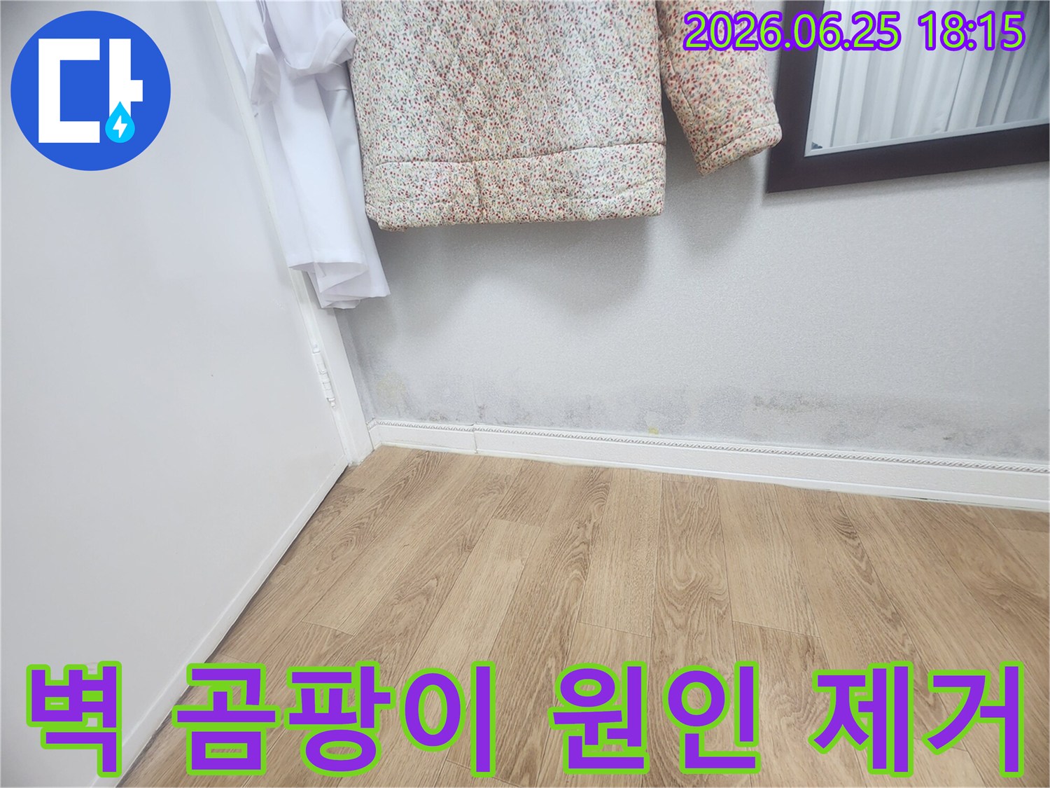 벽 하단에 넓게 퍼진 곰팡이와-습기 자국은-지속적인 누수로 인한-피해임을 보여줍니다-건강과 건물 안전을 위해-즉각적인 조치가 필요합니다.