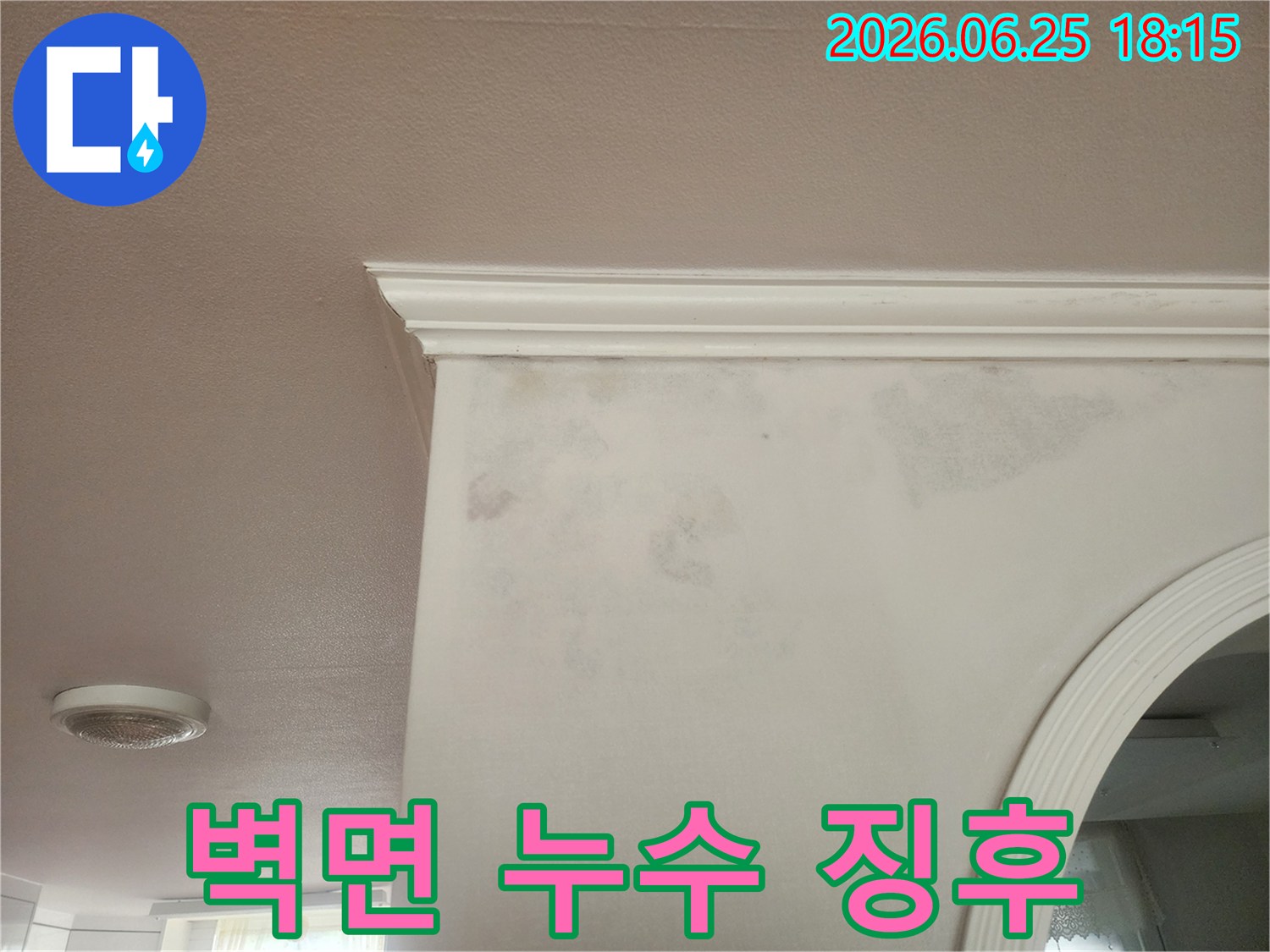 벽지 아래로 스며든 물 자국과 함께 곰팡이 조짐입니다-왜-누수로 인한 습기가 곰팡이 발생의 원인입니다-누가-저희 전문가가 방문하여 누수 제거와 곰팡이 방지를 도와드립니다.