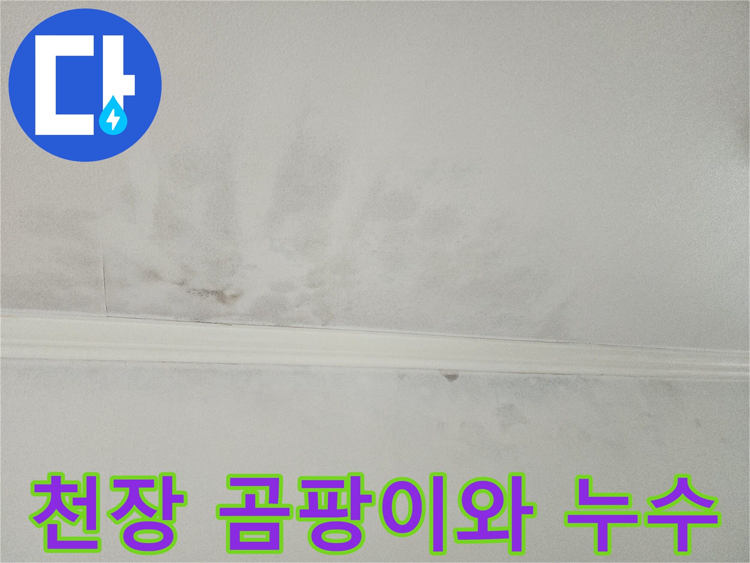 천장에 넓게 퍼진-물자국과 함께-생겨난 곰팡이로-누수와 습기 피해를-명확히 보여주고 있습니다