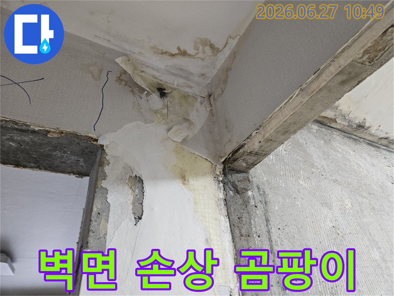 누수로-인해-벽면이-심하게-손상되고-검은-곰팡이가-번식한-모서리-현장
