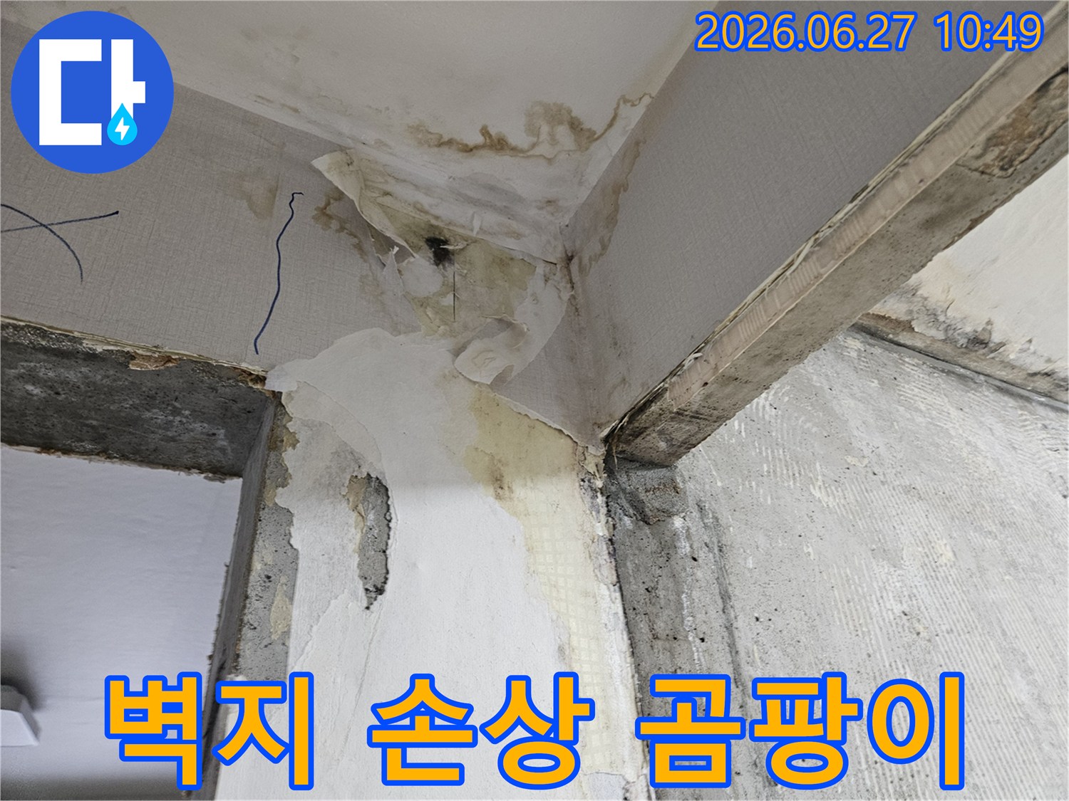 누수로-인해-벽지가-심하게-손상되고-검은-곰팡이가-번식한-벽면-모서리-현장