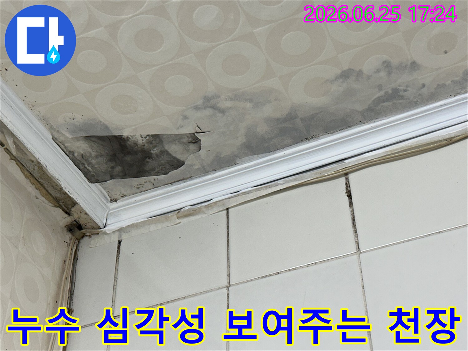 물에-의한-천장-손상과-광범위한-곰팡이-발생-현장을-누수-전문가가-정밀-장비를-이용해-탐지하고-있습니다