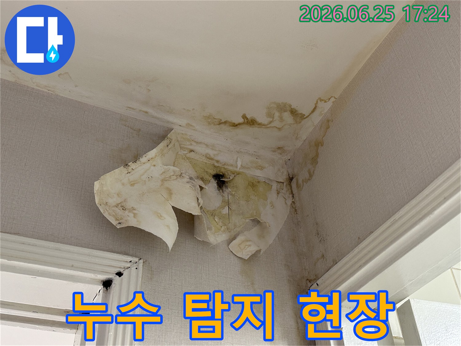 물에 젖어-변색된 벽지와-곰팡이가 번식한-천장 구석은-누수 문제의-긴급한 해결을-요구합니다