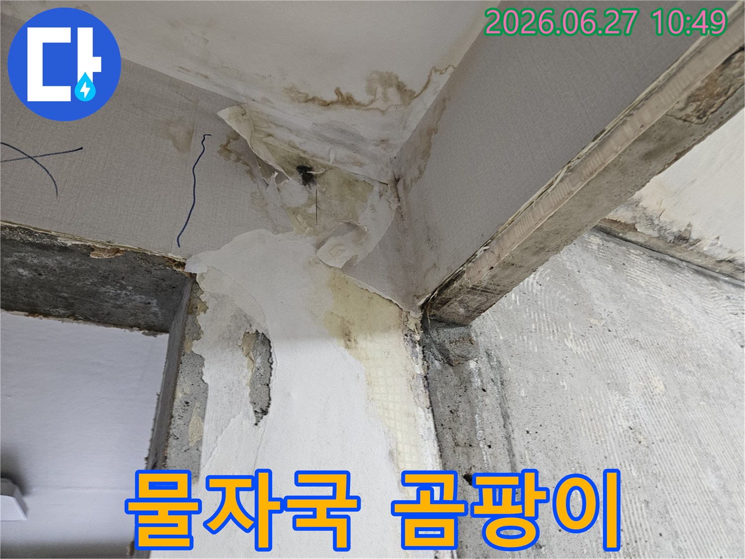 벽면-모서리에서-발견된-누수로-인한-물자국과-동시에-발생한-심각한-곰팡이-피해