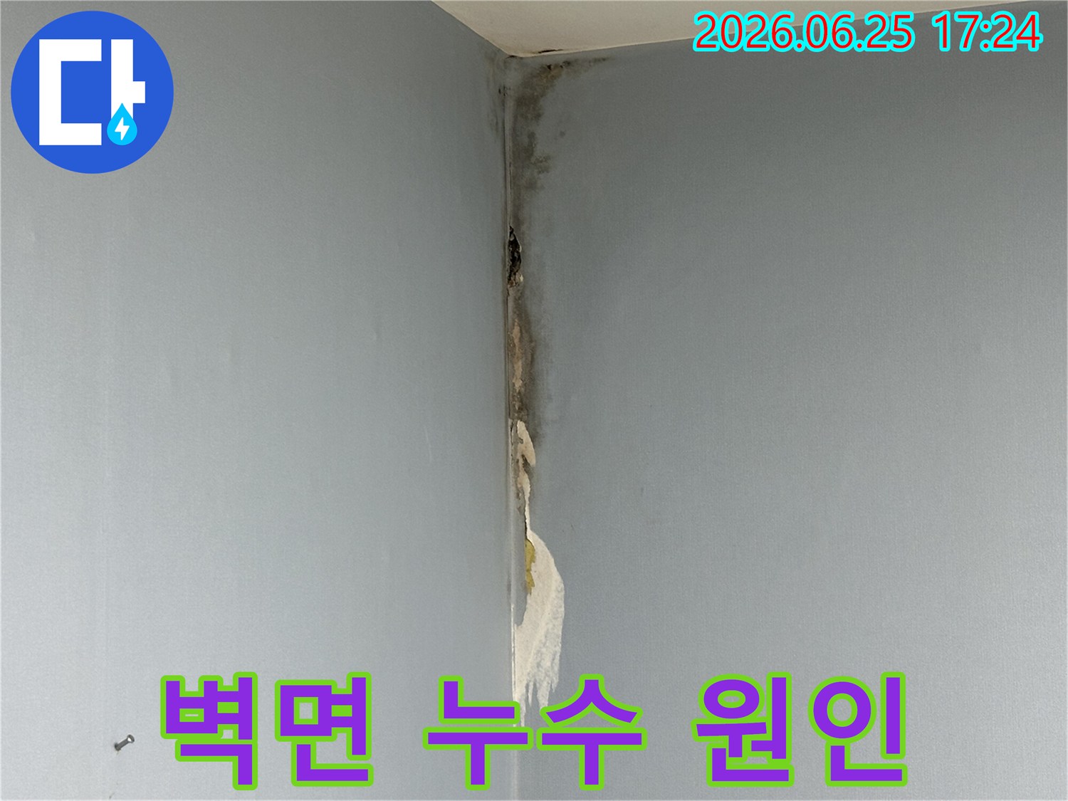 아파트-벽면-코너에서-발생한-누수로-인해-벽지가-젖어-들뜨고-심한-곰팡이가-피어난-손상-상태를-보여주는-사진입니다