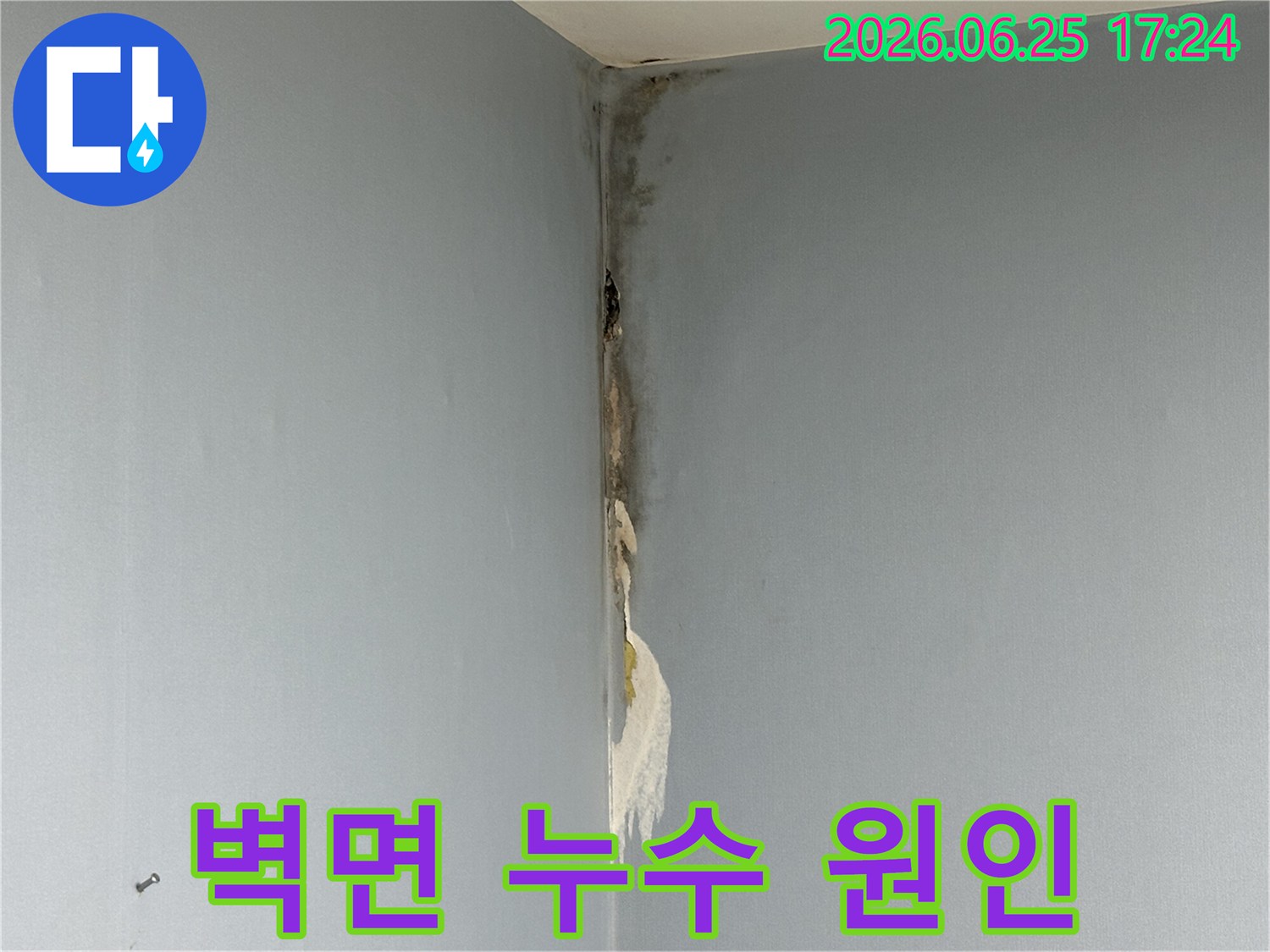 아파트-벽면-코너에서-발생한-누수로-인해-벽지가-젖어-들뜨고-심한-곰팡이가-피어난-손상-상태를-보여주는-사진입니다