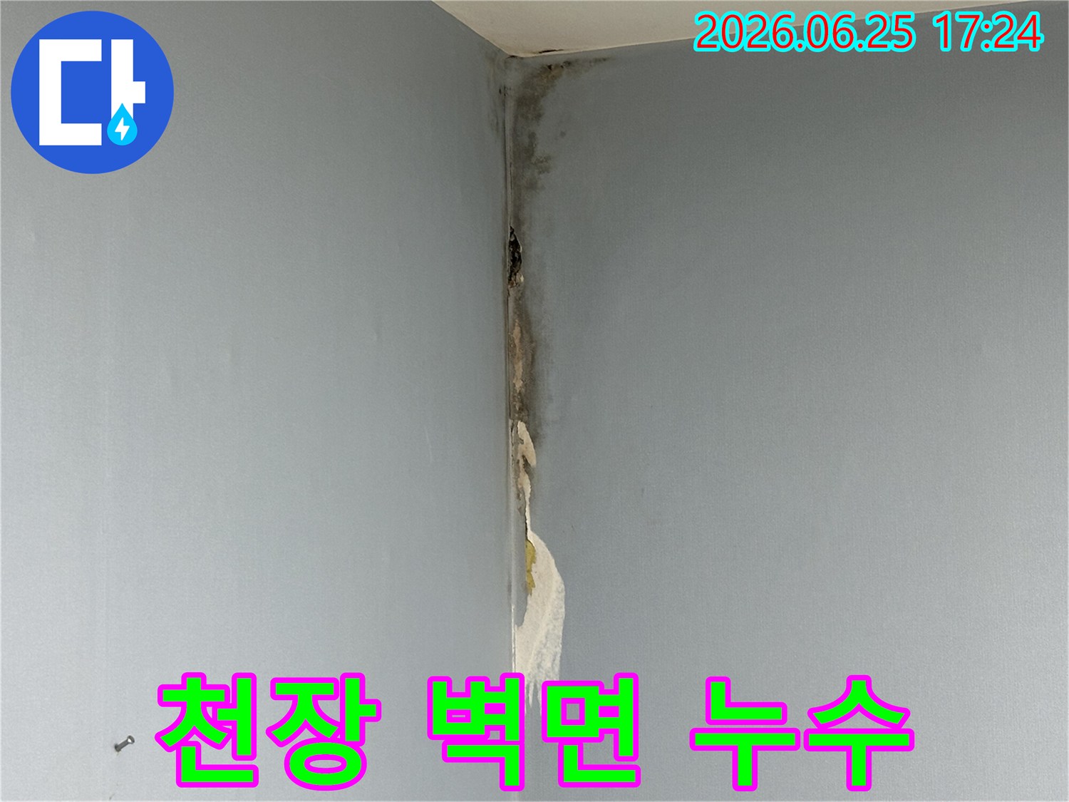 아파트-천장과-벽면-코너에서-발생한-누수로-인해-벽지가-젖고-심한-곰팡이가-피어난-손상-현장을-보여주는-사진입니다