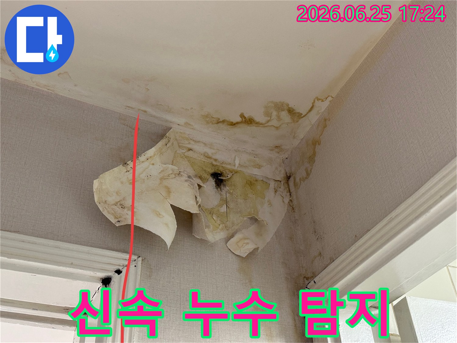이 이미지는 아파트 내부 천장과 벽 모서리에서 발생한 심각한 누수 흔적과 벽지 손상을 명확히 보여줍니다.