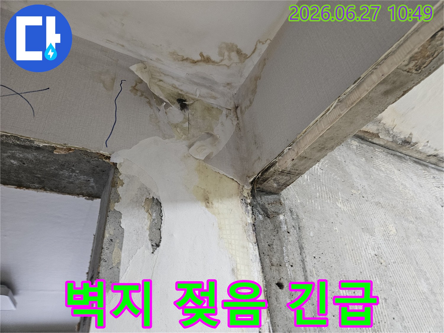 천장과-벽면-모서리에서-발견된-심각한-벽지-젖음-현상-긴급-보수가-필요한-누수-현장