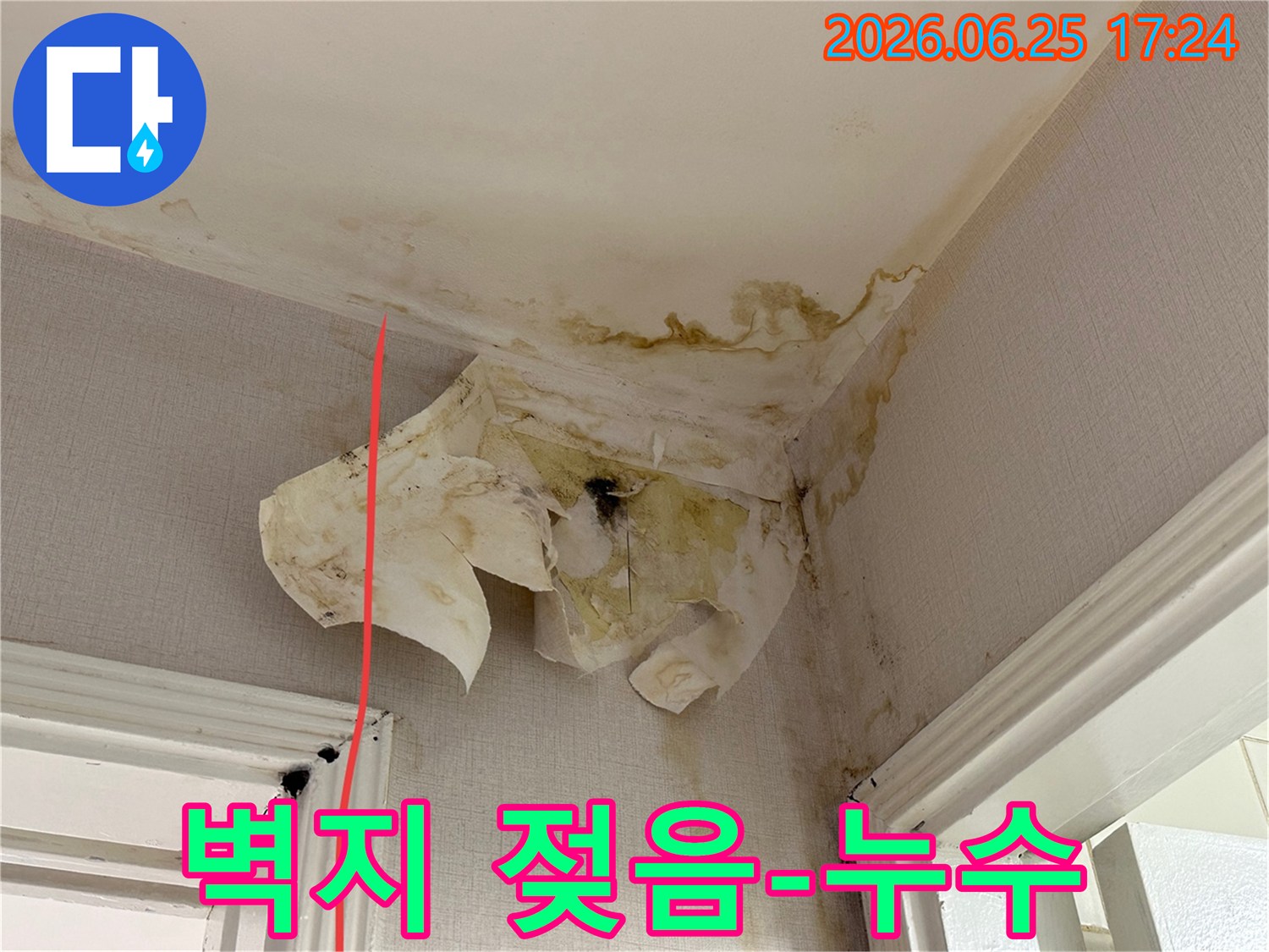 천장과 벽면의 물 얼룩-벽지 들뜸-그리고 곰팡이가 누수 피해의 심각성을 나타냅니다.