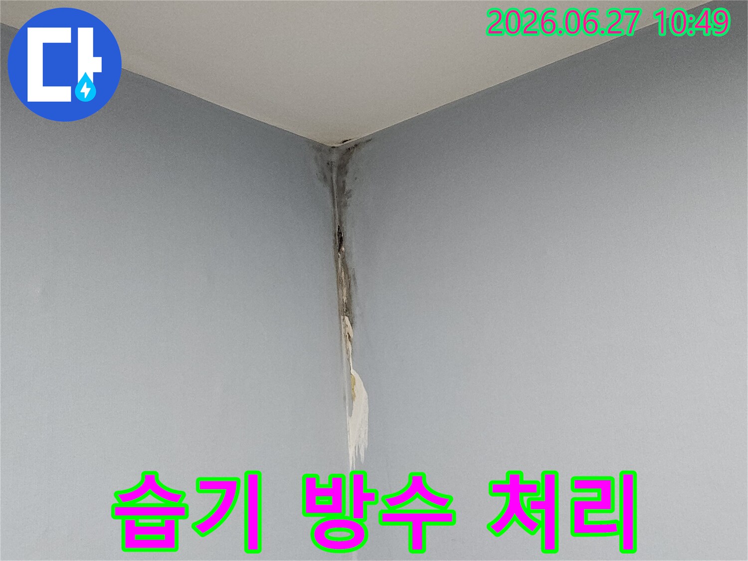 천장과 벽의 모서리 부근에 누수로 인한 벽지 손상과 곰팡이가 발생하여-심각한 습기 문제를 보여주며-전문적인 습기 제거와 방수 처리가 필요한 현장입니다.