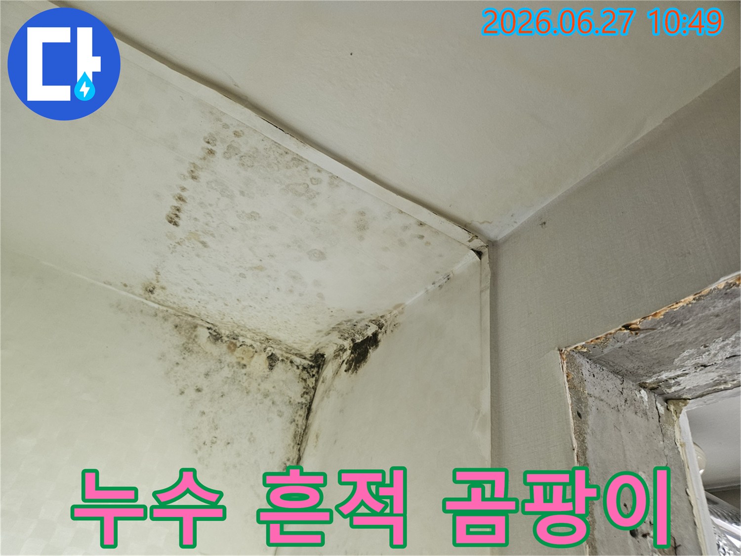 천장과 벽의 접합부에 생긴 검은색 곰팡이로-누수나 결로로 인한 습기 피해의 명확한 증거입니다-주택 내부의 위생과 구조적 문제점을 보여줍니다.
