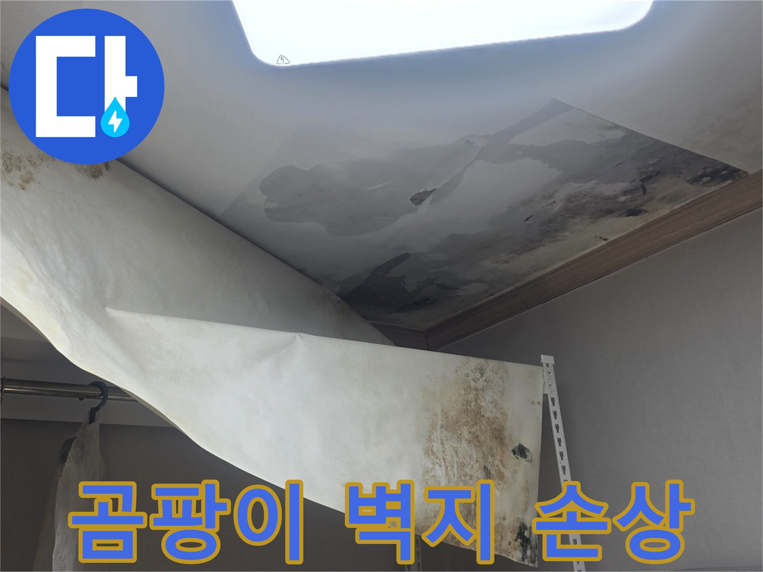 물기로 인해 손상된-천장과 벽지의-곰팡이 발생 현장을-정밀하게 촬영한 사진입니다