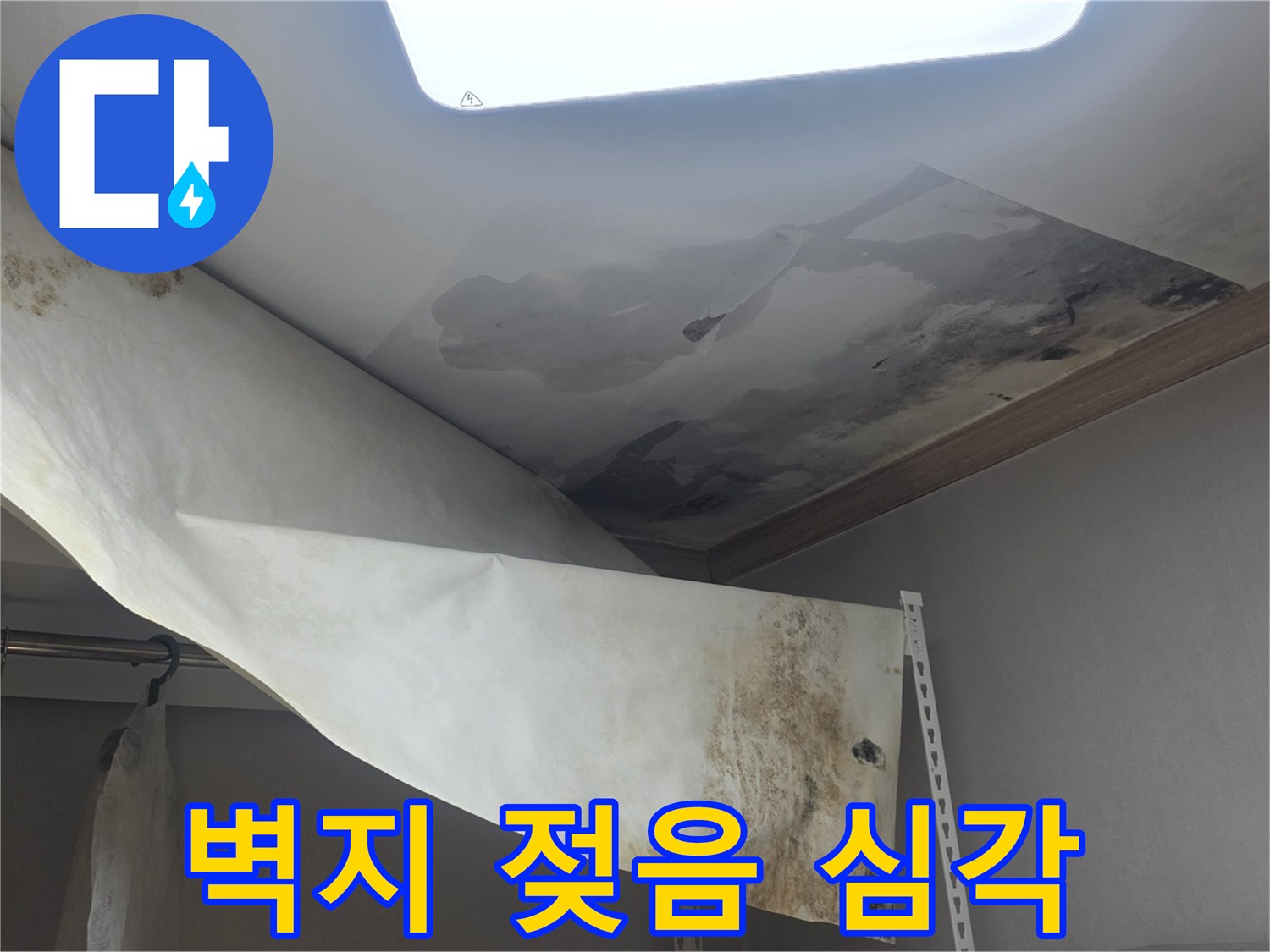 오랜 기간 방치된-천장 누수로 인해-벽지가 들뜨고-곰팡이가 번식한 현장입니다