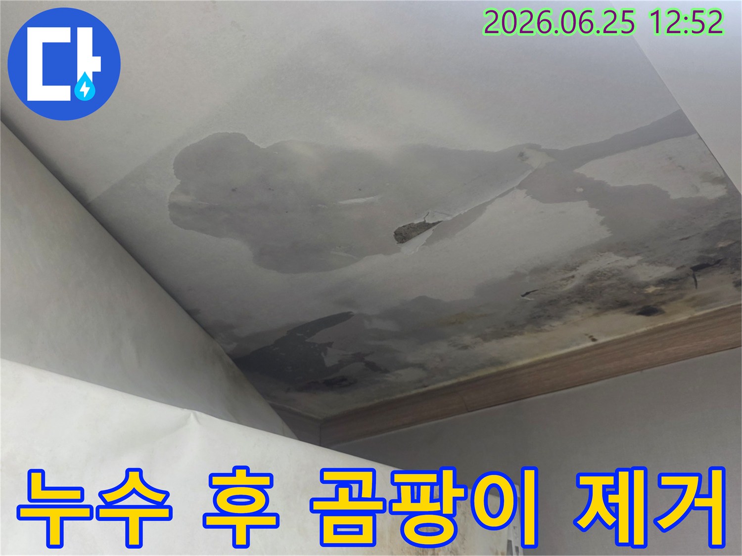 천장 누수로 인해 검게 변색되고 곰팡이가 심하게 번식한 천장-누수 해결 후 곰팡이 제거 및 방지 작업이 필요한 현장